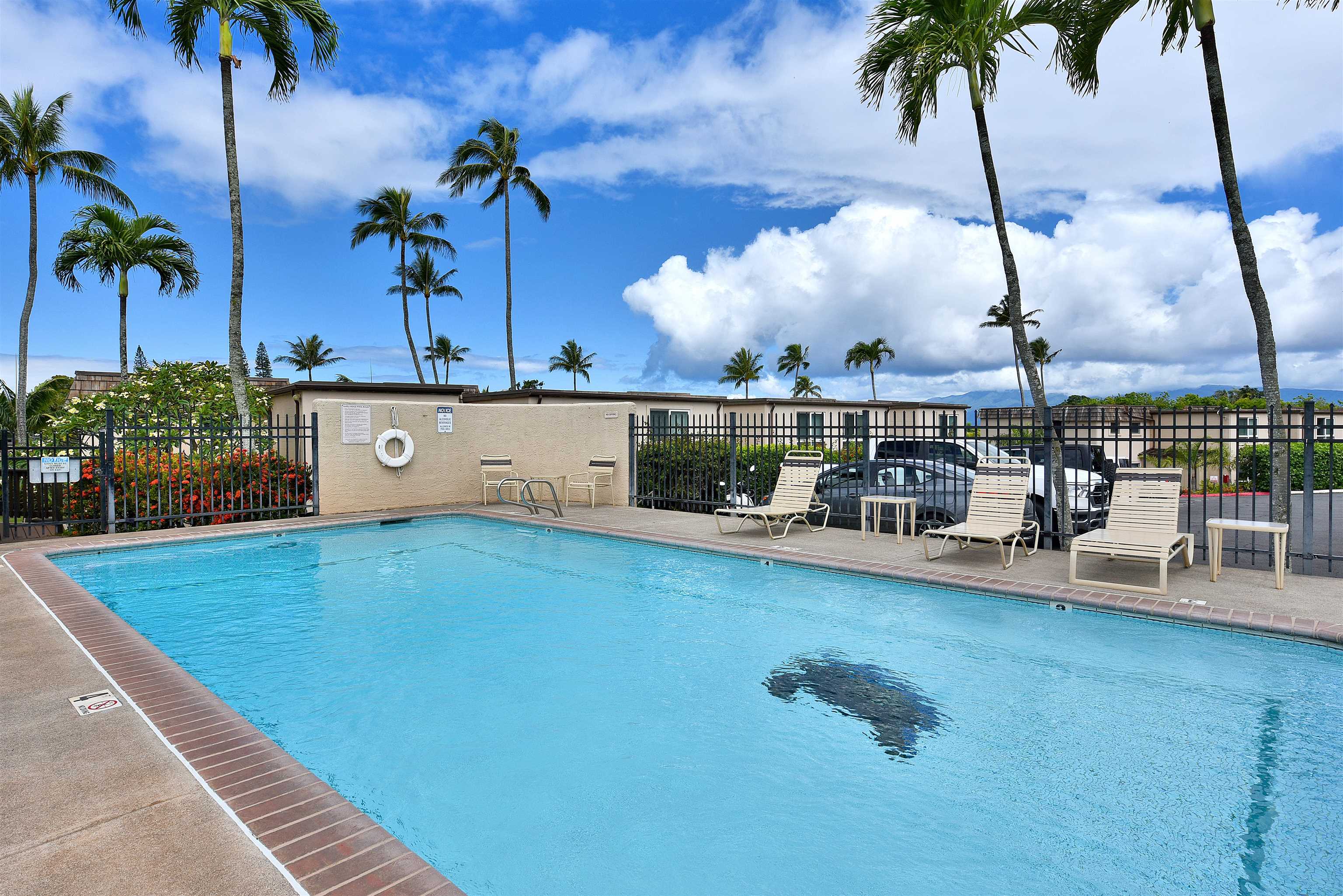 Napili Ridge condo # 16 E, Lahaina, Hawaii - photo 42 of 44