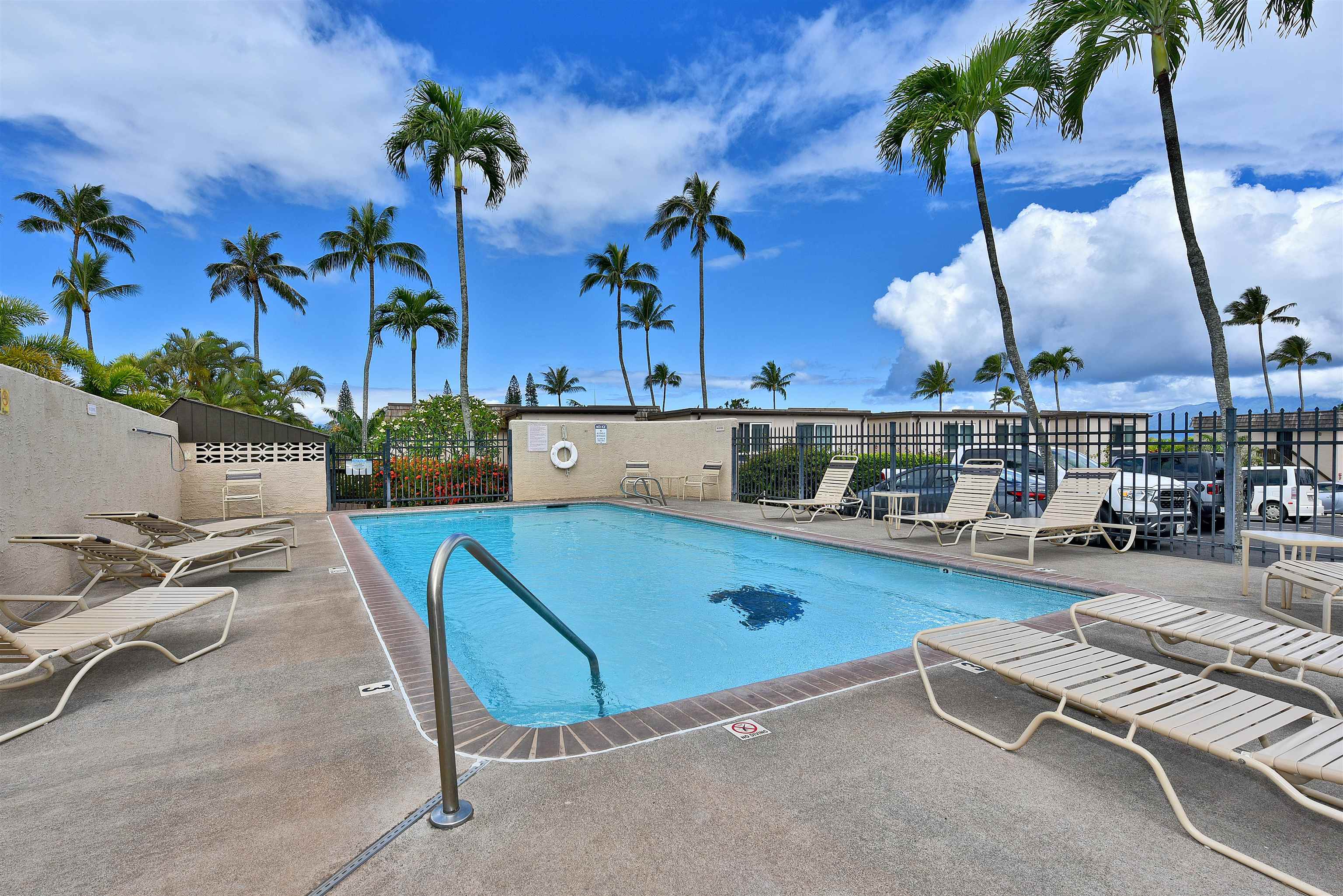 Napili Ridge condo # 16 E, Lahaina, Hawaii - photo 44 of 44