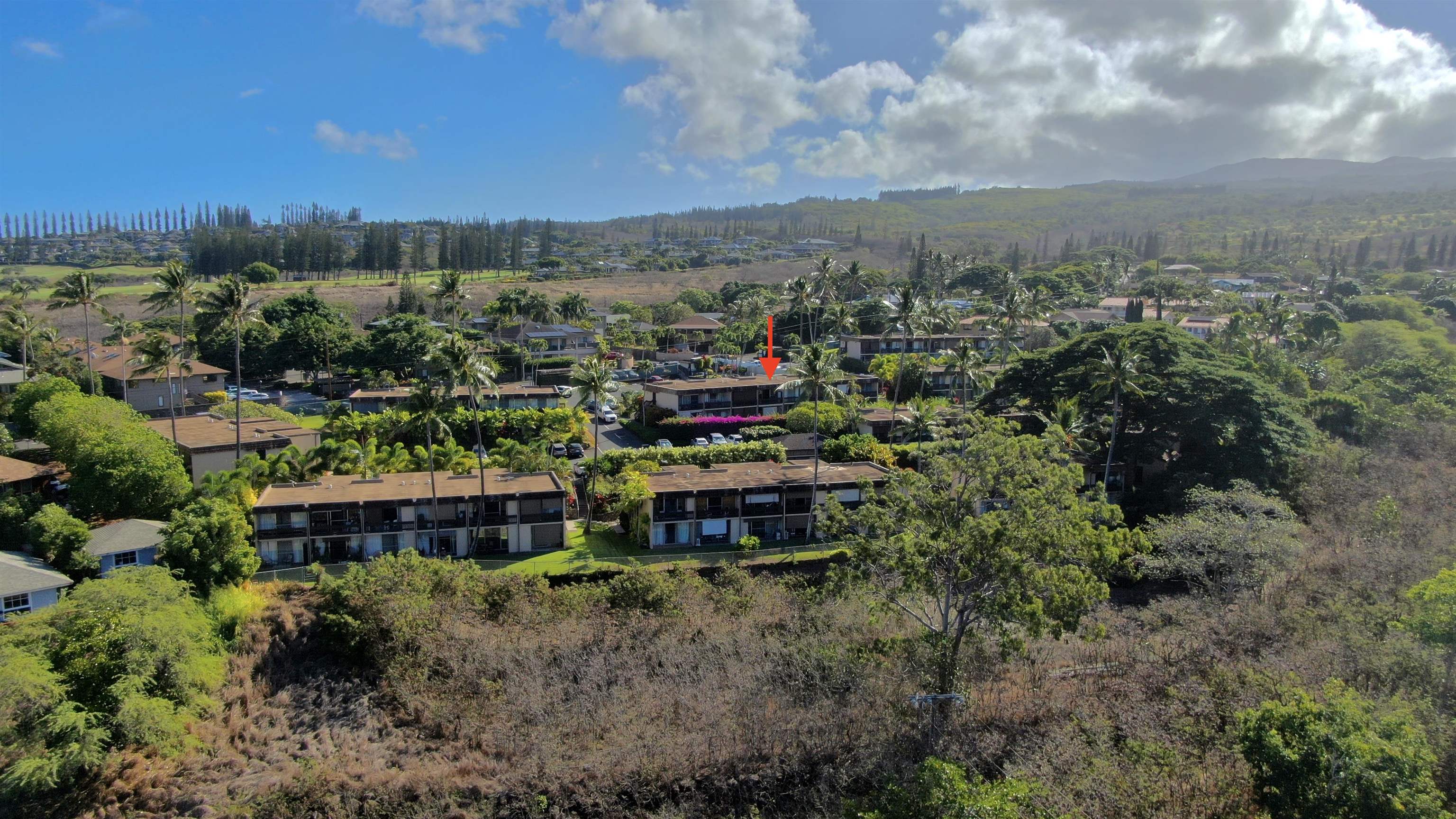 Napili Ridge condo # A15, Lahaina, Hawaii - photo 20 of 33
