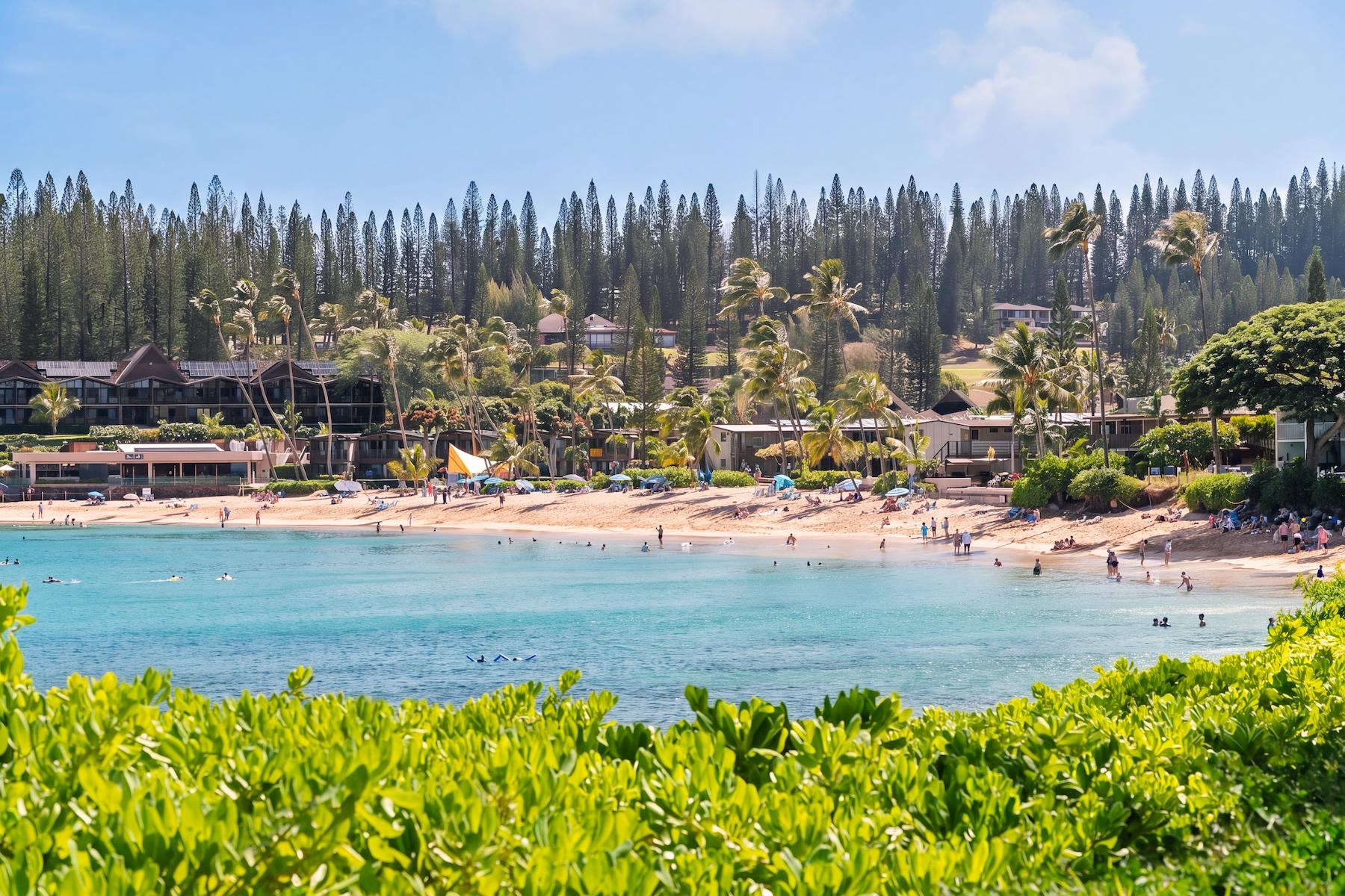 Napili Ridge condo # A6, Lahaina, Hawaii - photo 25 of 26