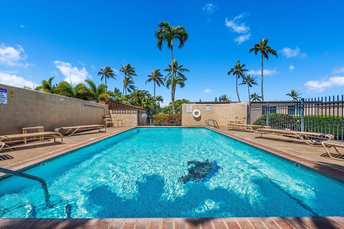 Napili Ridge condo # B-4, Lahaina, Hawaii - photo 32 of 36