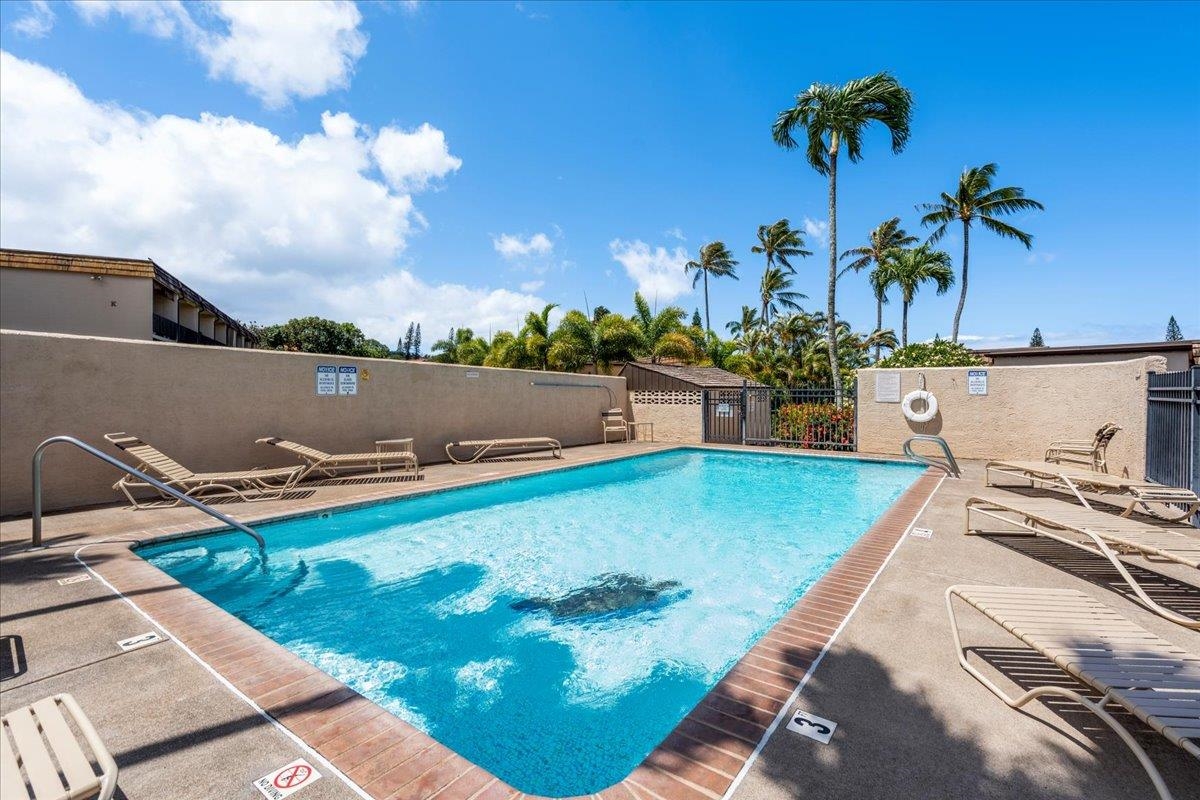 Napili Ridge condo # B-4, Lahaina, Hawaii - photo 33 of 36