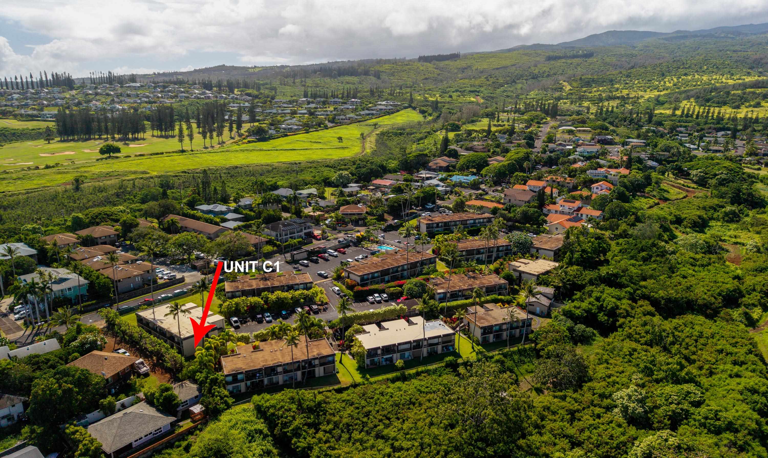 Napili Ridge condo # C1, Lahaina, Hawaii - photo 29 of 30