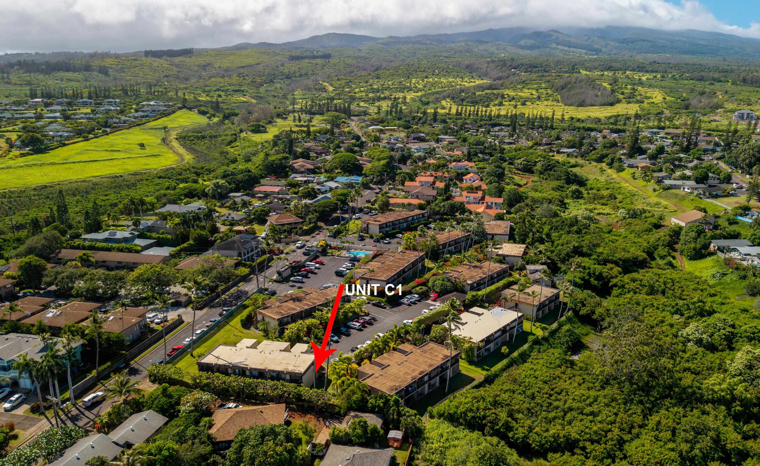 Napili Ridge condo # C1, Lahaina, Hawaii - photo 30 of 30