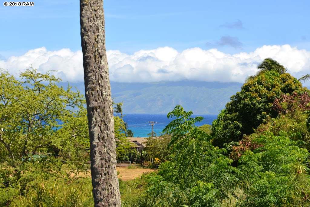 Napili Ridge condo # D 13, Lahaina, Hawaii - photo 22 of 27