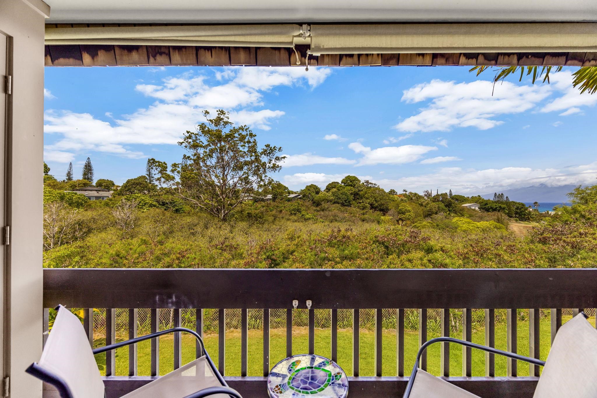 Napili Ridge condo # E16, Lahaina, Hawaii - photo 2 of 24