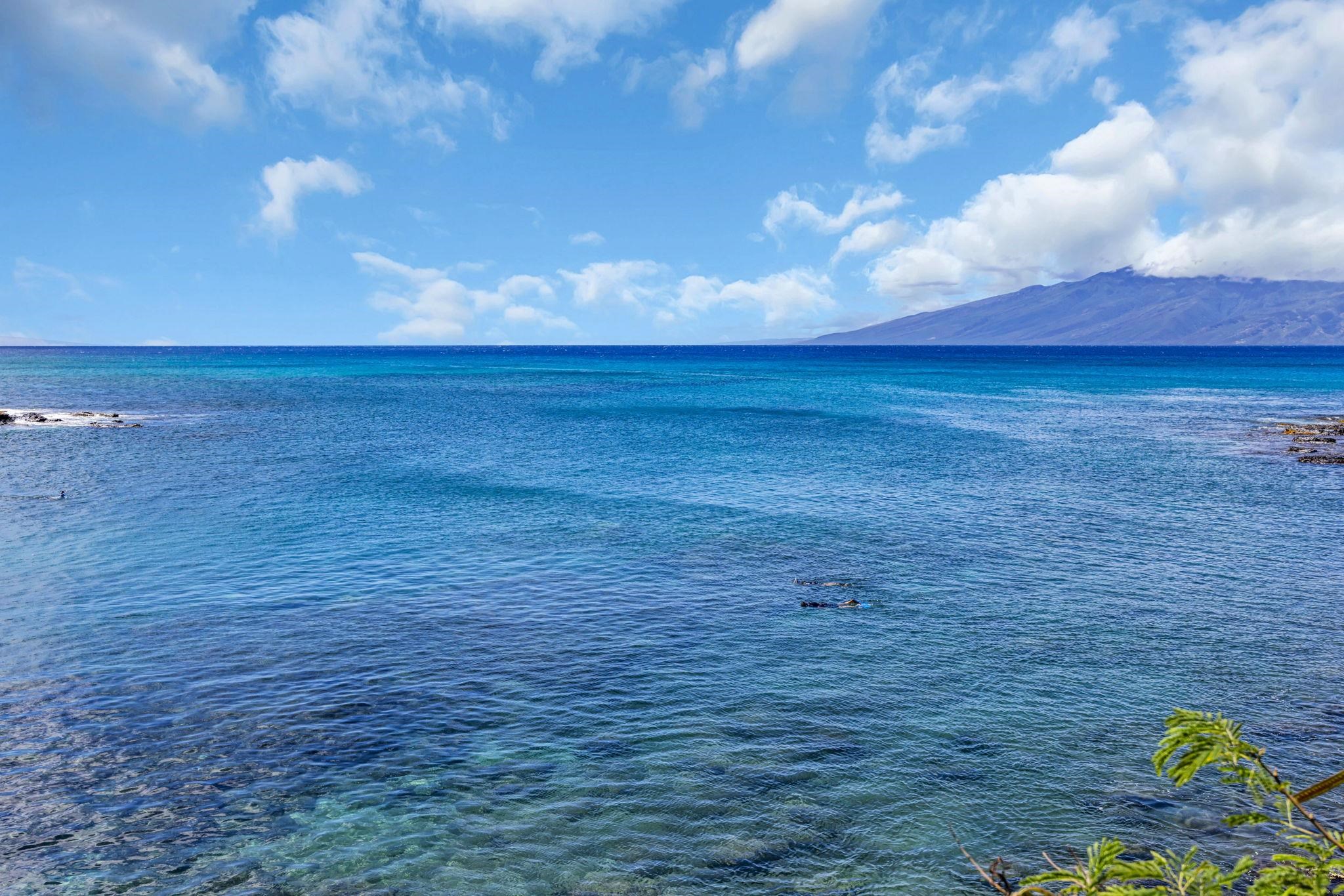 Napili Ridge condo # E16, Lahaina, Hawaii - photo 22 of 22