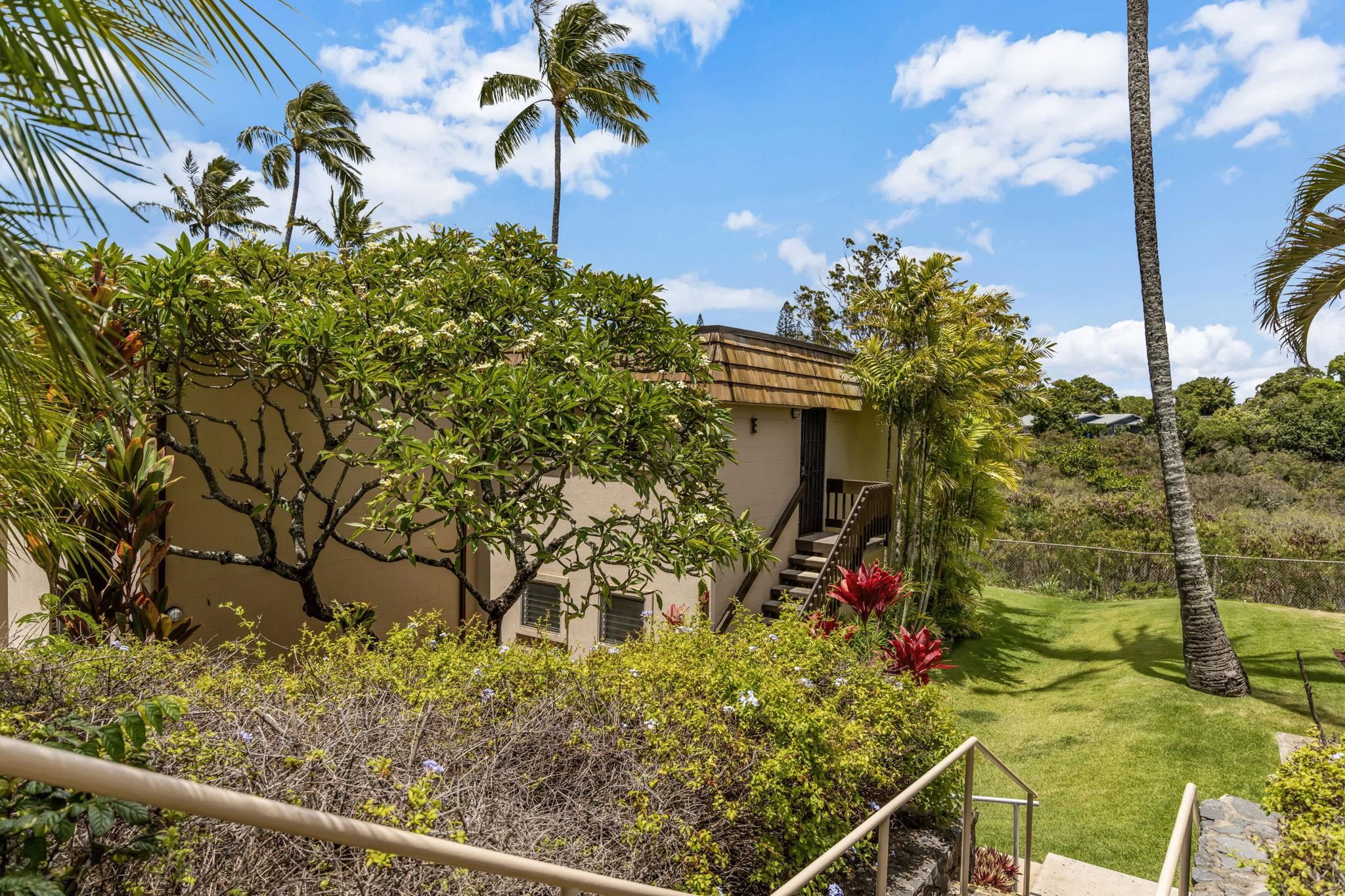 Napili Ridge condo # E16, Lahaina, Hawaii - photo 10 of 24