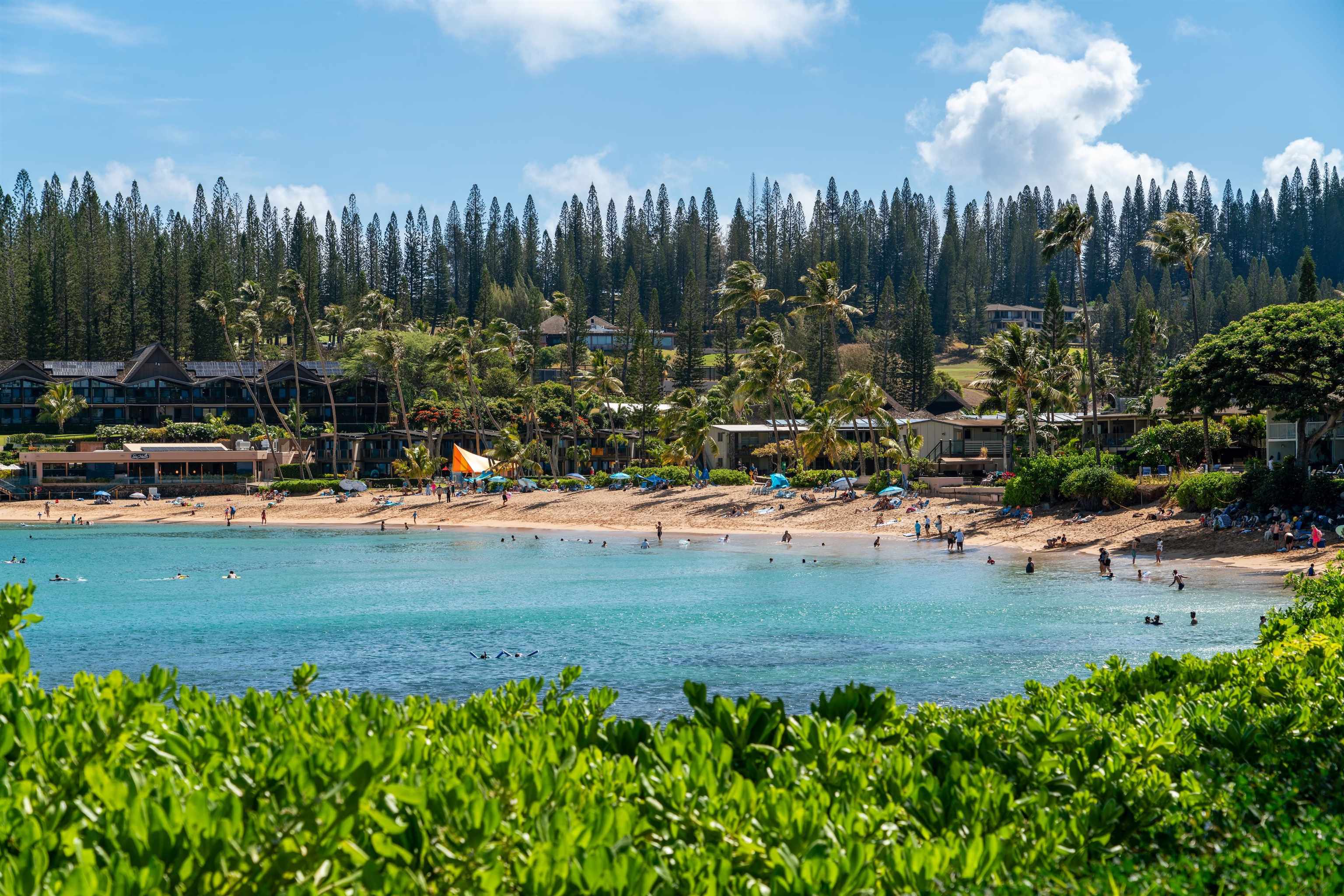 Napili Ridge condo # G16, Lahaina, Hawaii - photo 23 of 24
