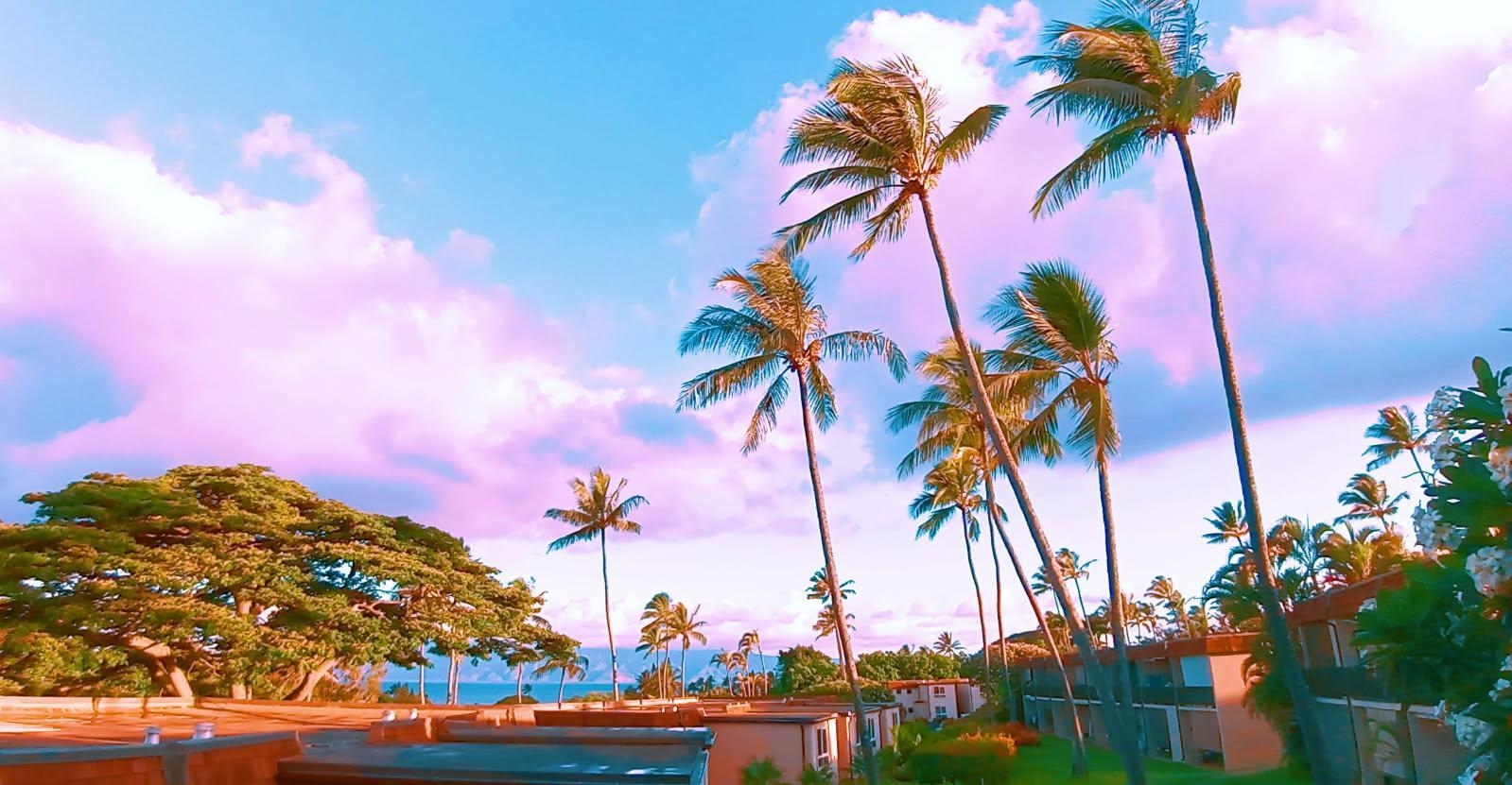 Napili Ridge condo # I16, Lahaina, Hawaii - photo 2 of 32