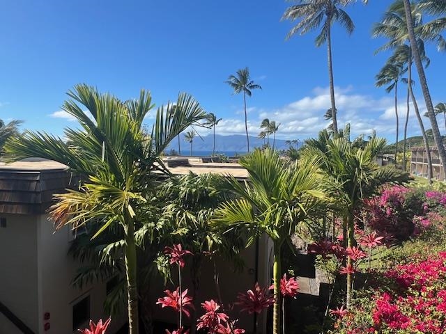 Napili Ridge condo # I16, Lahaina, Hawaii - photo 3 of 32