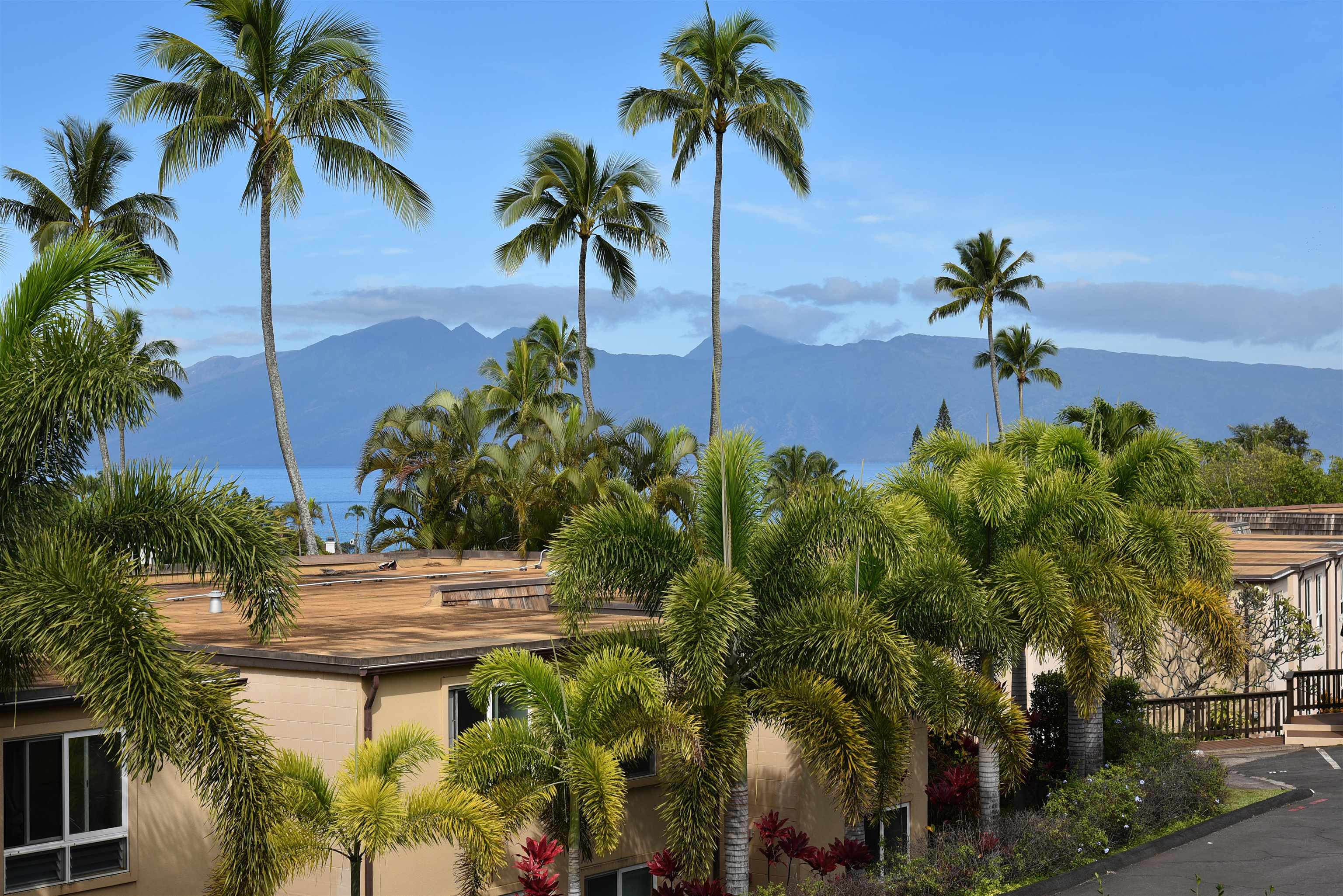 Napili Ridge condo # K 11, Lahaina, Hawaii - photo 24 of 47