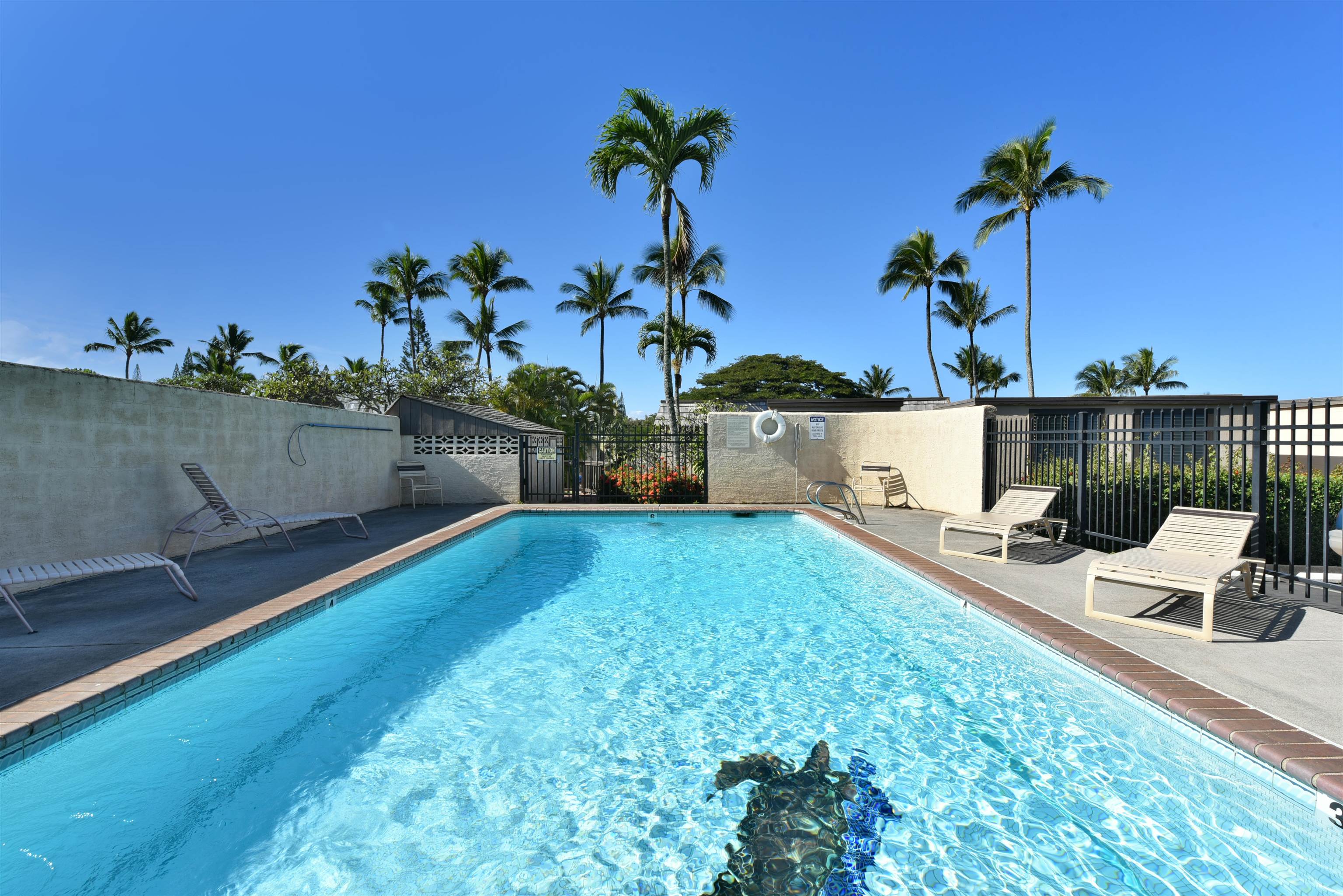 Napili Ridge condo # K 11, Lahaina, Hawaii - photo 34 of 47