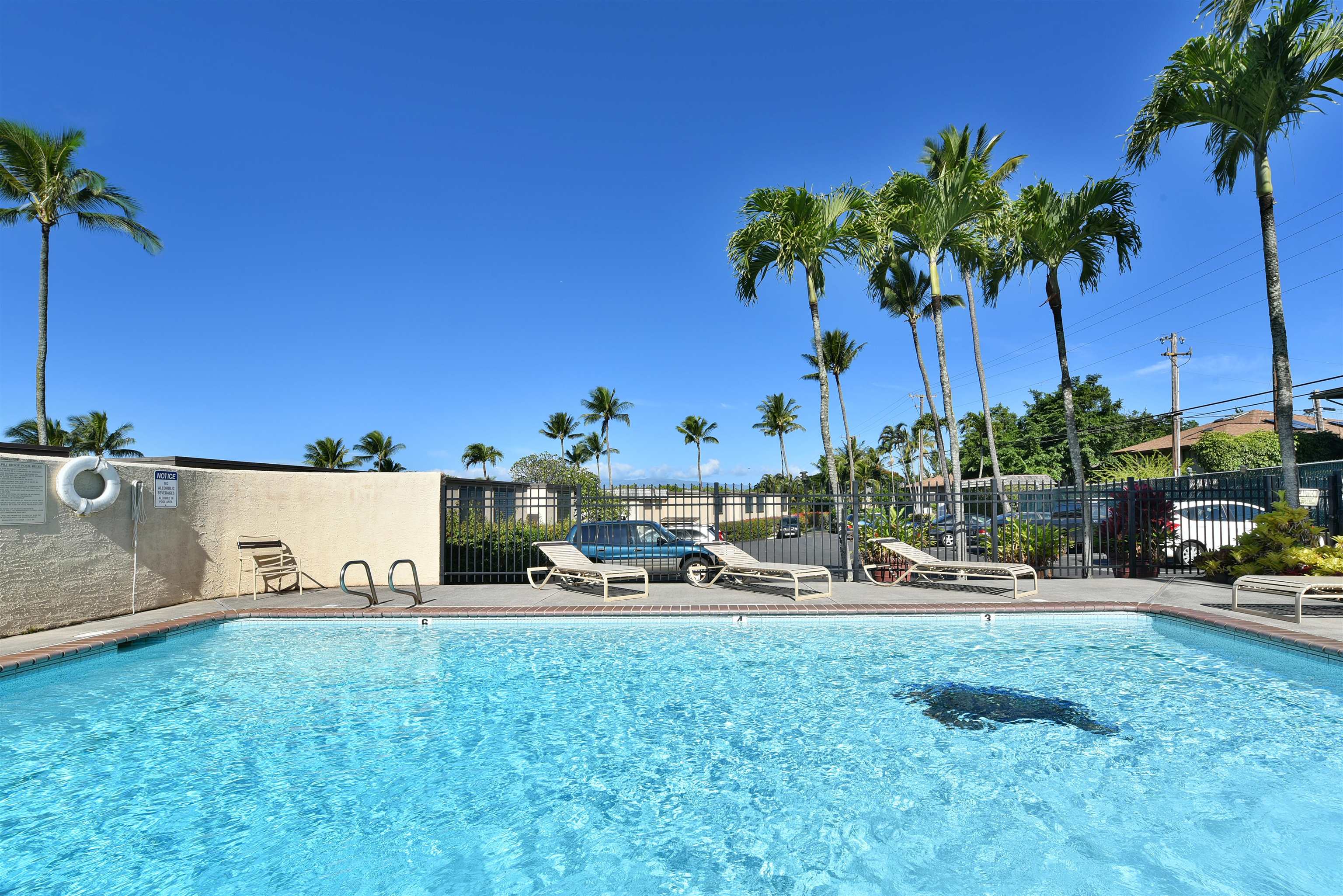 Napili Ridge condo # K 11, Lahaina, Hawaii - photo 35 of 47