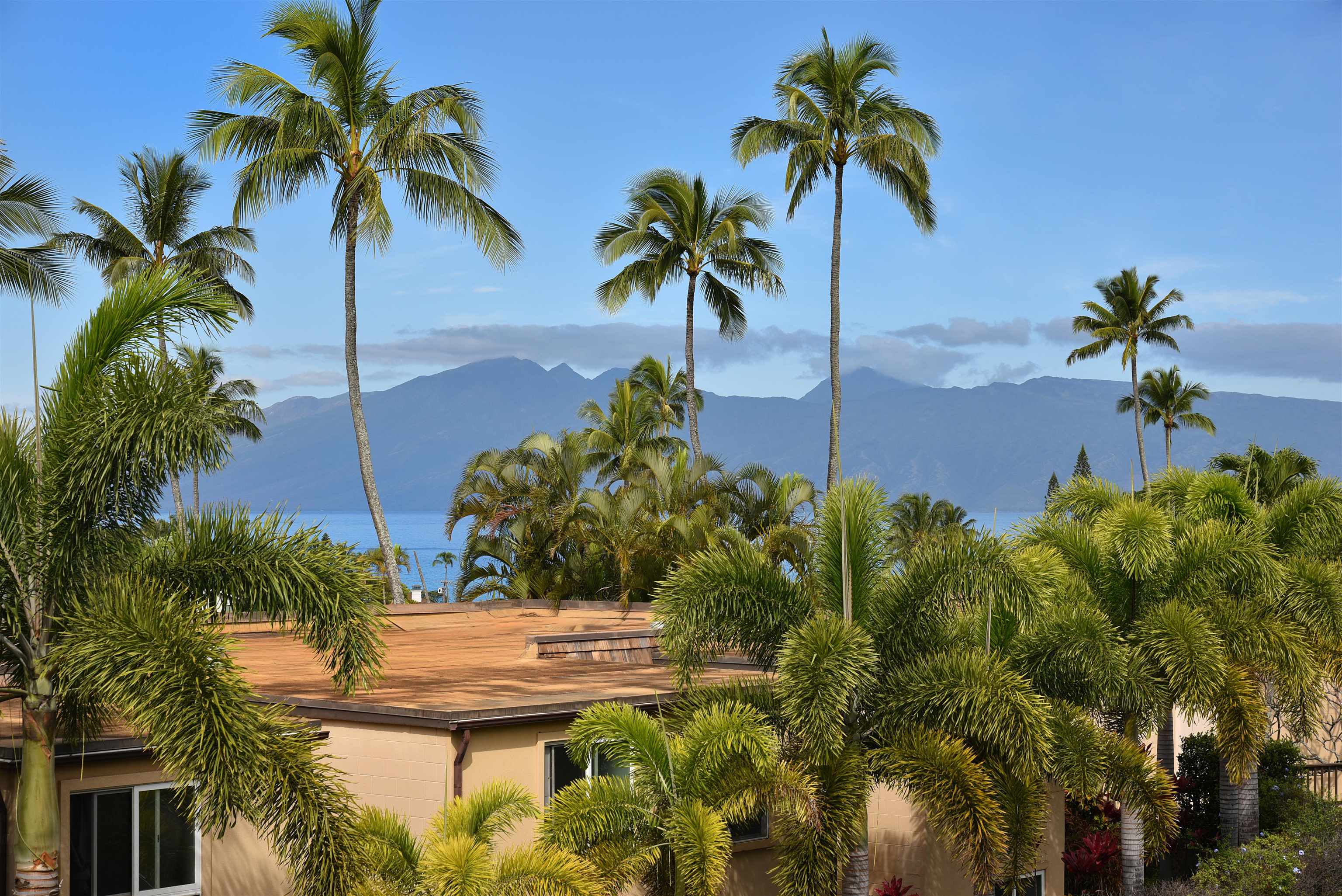 Napili Ridge condo # K 11, Lahaina, Hawaii - photo 36 of 47