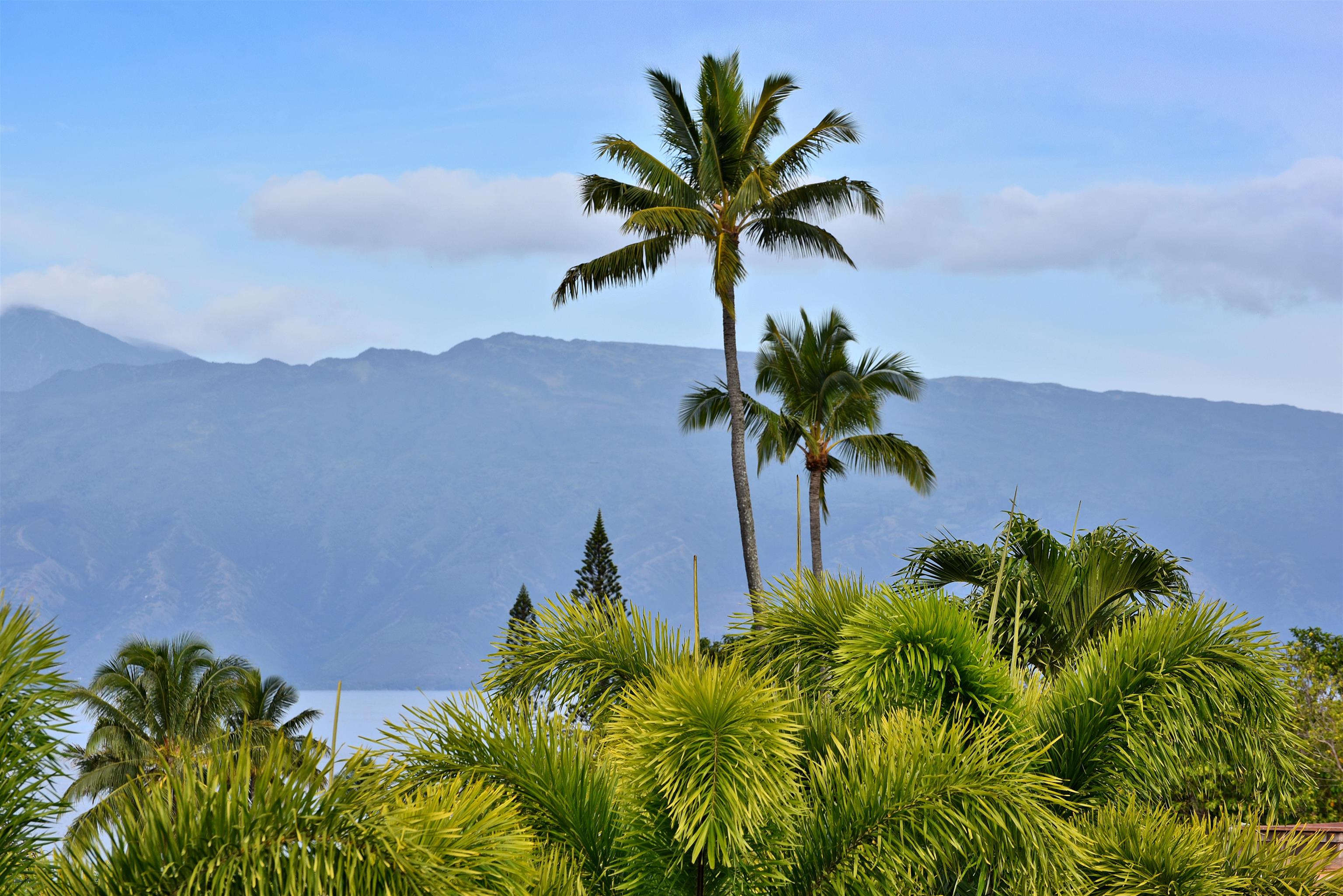 Napili Ridge condo # K 11, Lahaina, Hawaii - photo 38 of 47