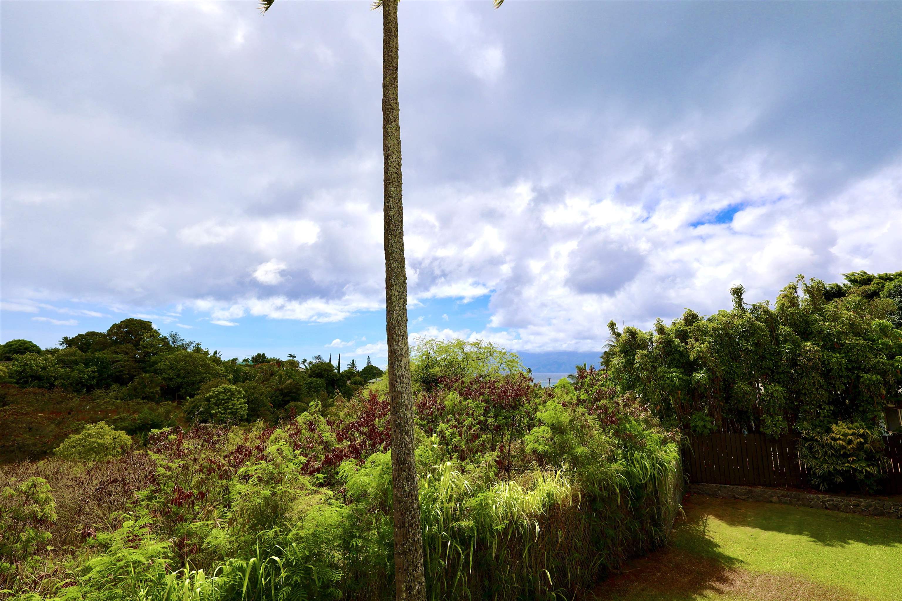 Napili Ridge condo # D-12, Lahaina, Hawaii - photo 17 of 18
