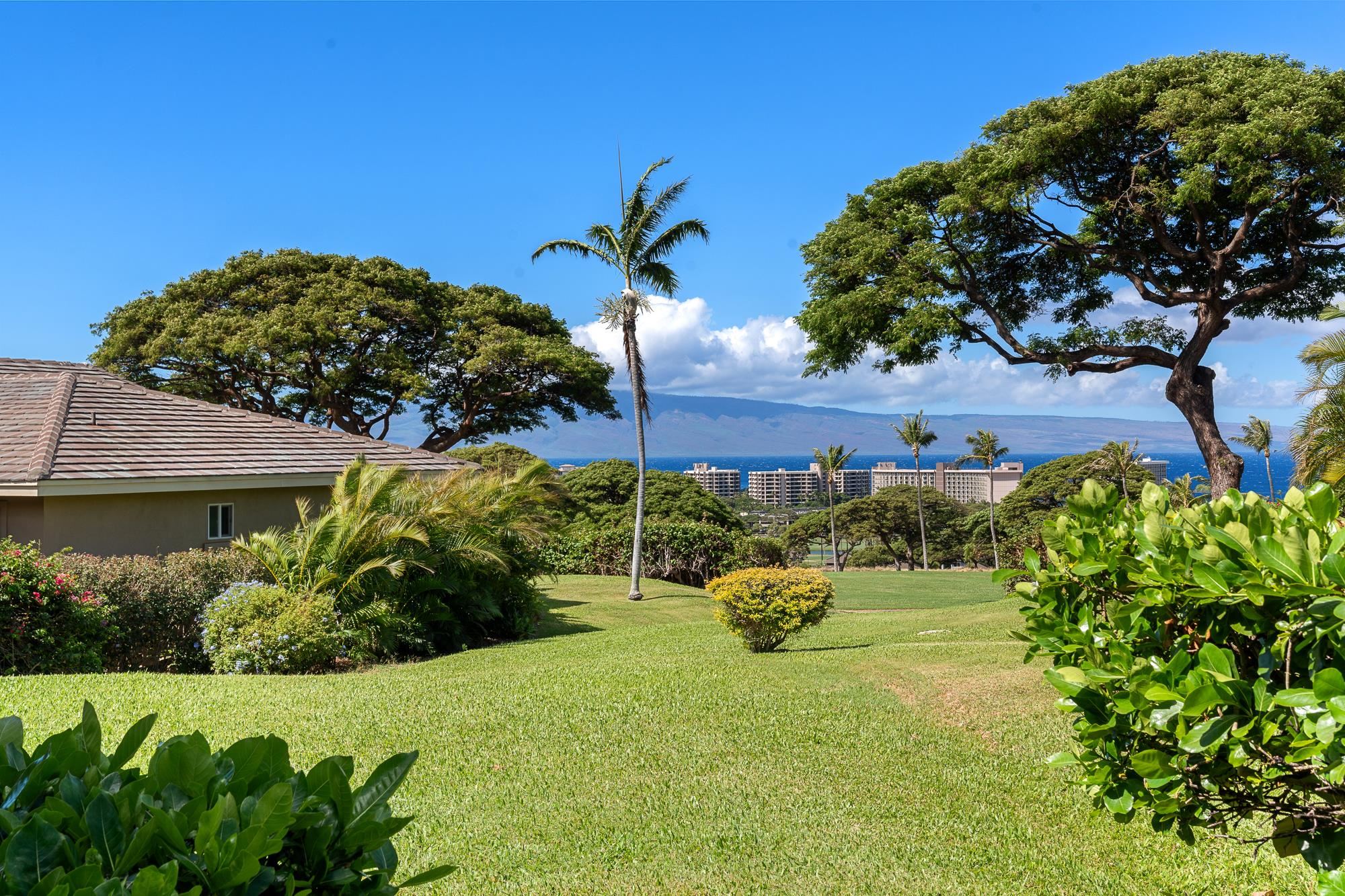Vintage at Kaanapali condo # 20, Lahaina, Hawaii - photo 46 of 46