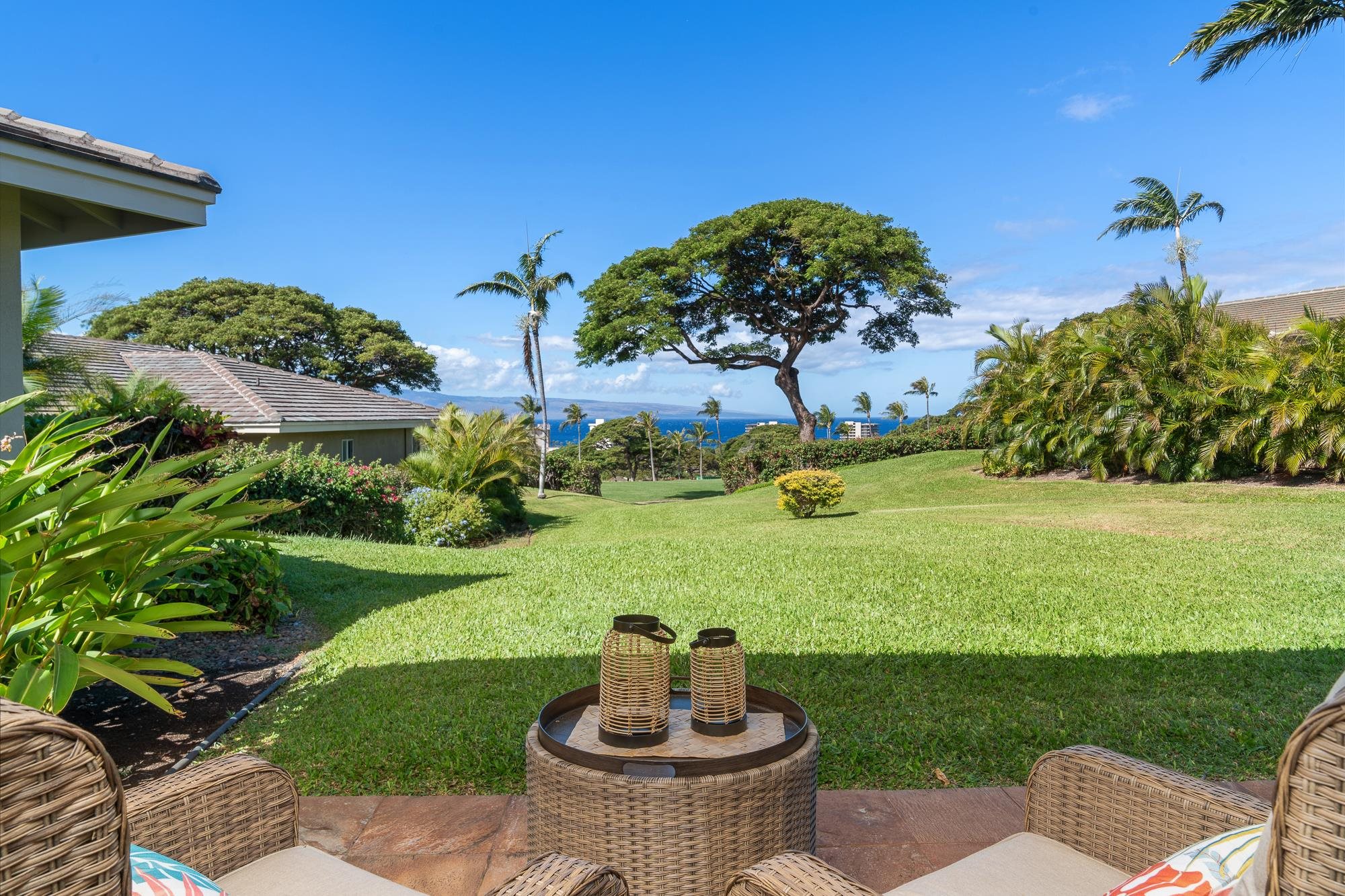 120  Kualapa Pl Kaanapali, Kaanapali home - photo 43 of 46