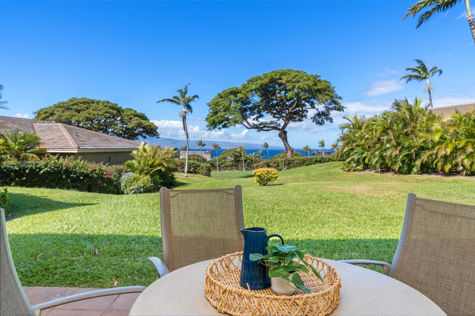 120  Kualapa Pl Kaanapali, Kaanapali home - photo 44 of 46