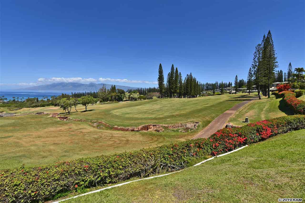 1200  Summer Rd Kapalua Resort, Kapalua home - photo 13 of 30