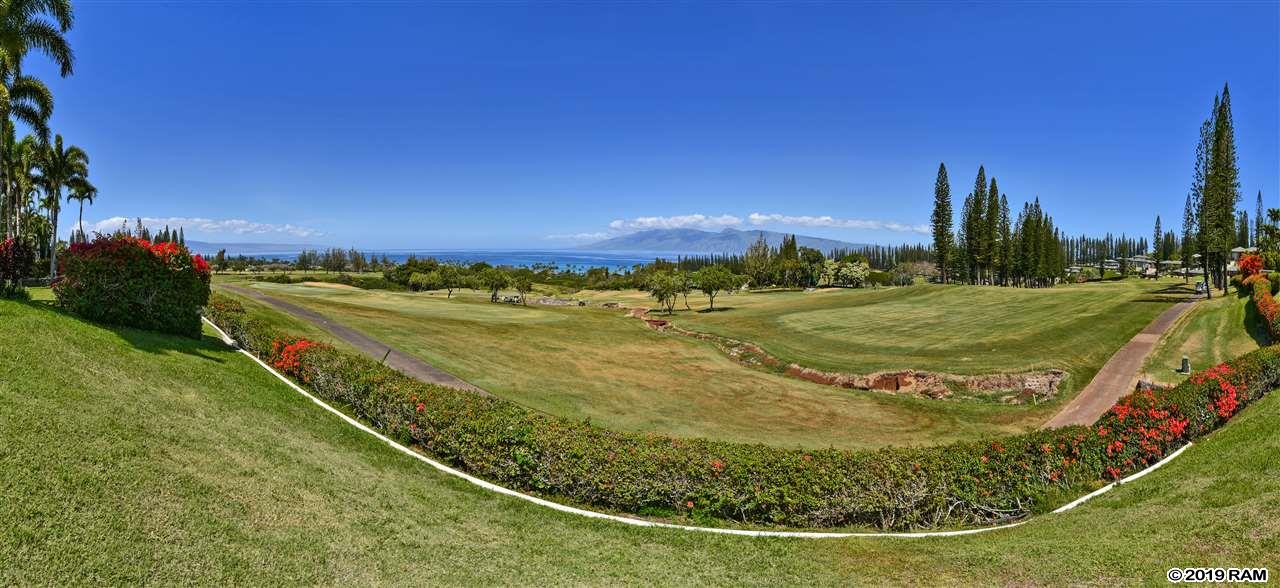 1200  Summer Rd Kapalua Resort, Kapalua home - photo 14 of 30
