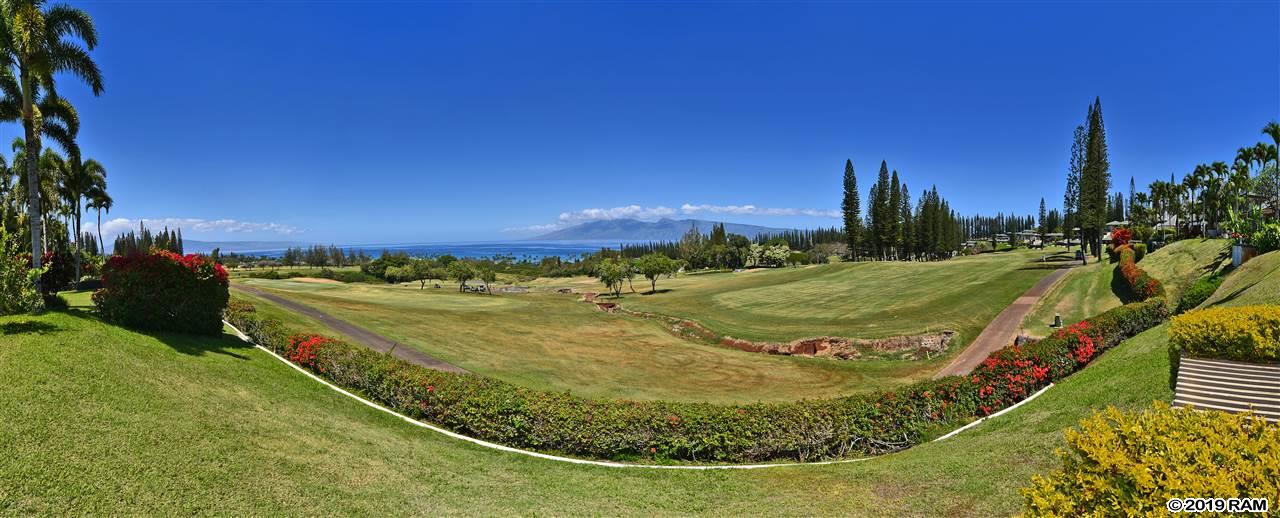 1200  Summer Rd Kapalua Resort, Kapalua home - photo 15 of 30
