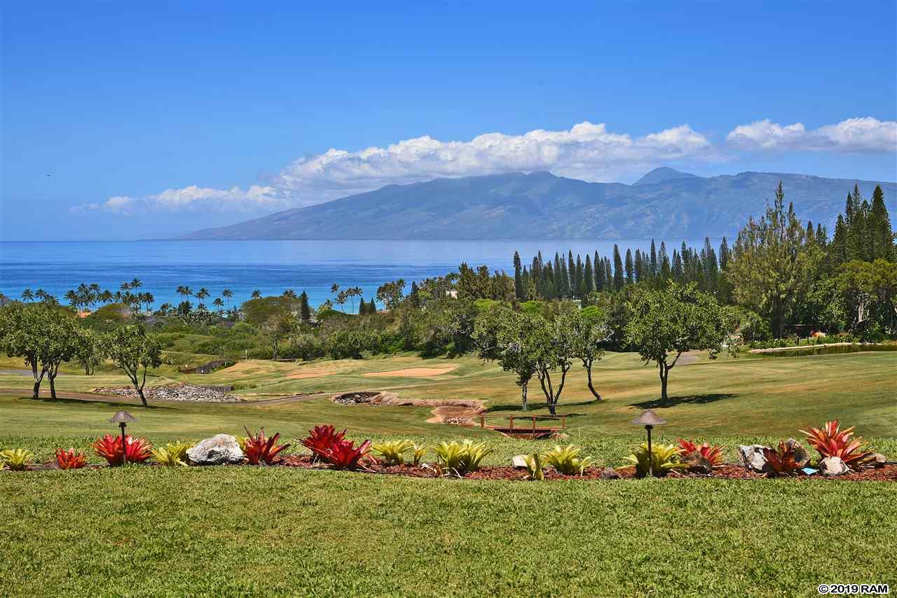 1200  Summer Rd Kapalua Resort, Kapalua home - photo 16 of 30