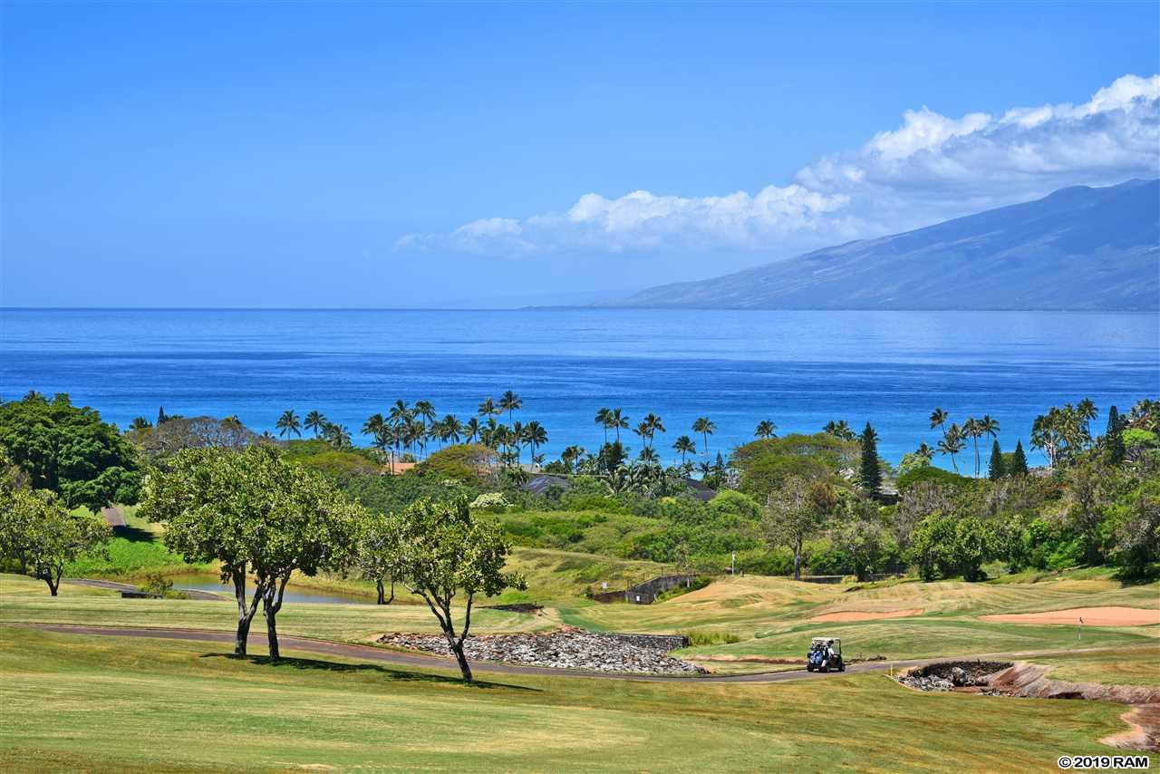 1200  Summer Rd Kapalua Resort, Kapalua home - photo 3 of 30