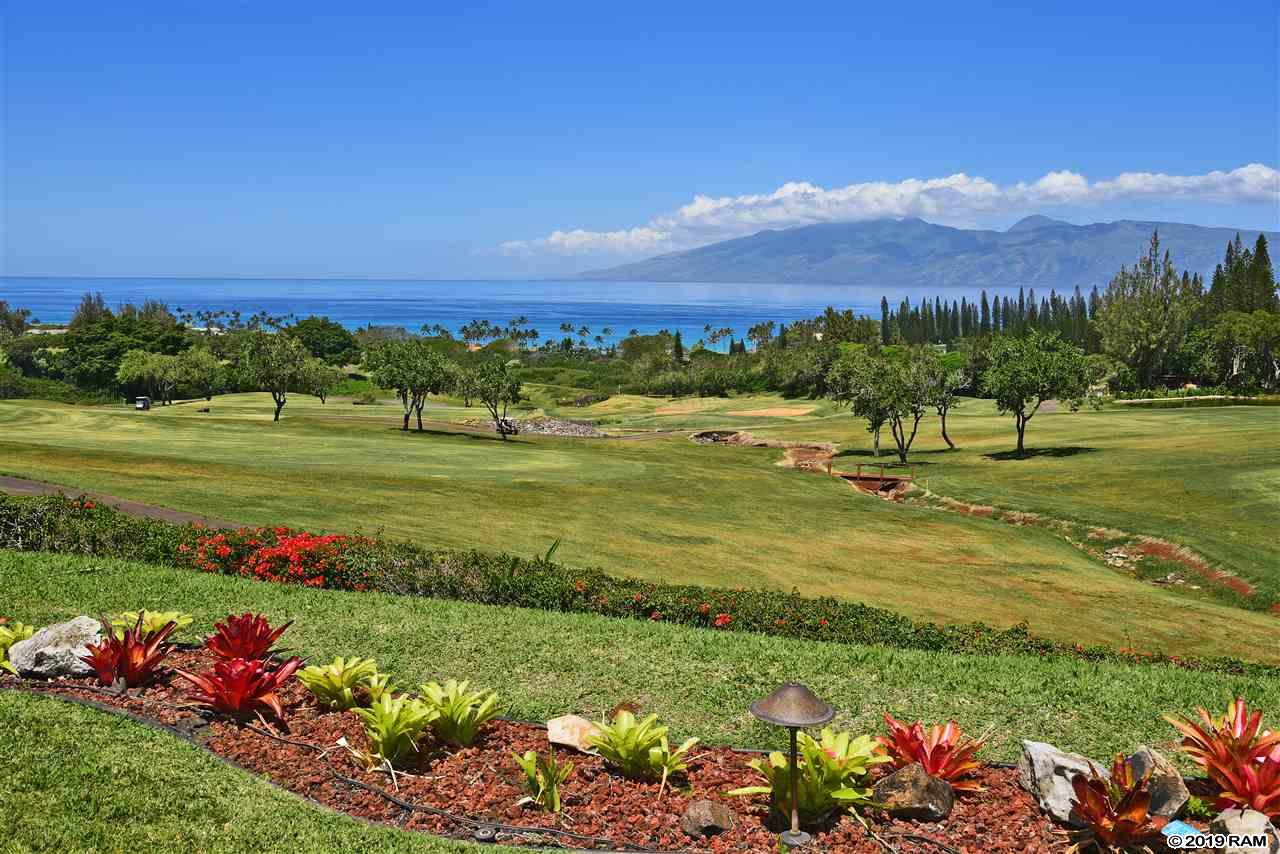 1200  Summer Rd Kapalua Resort, Kapalua home - photo 10 of 30