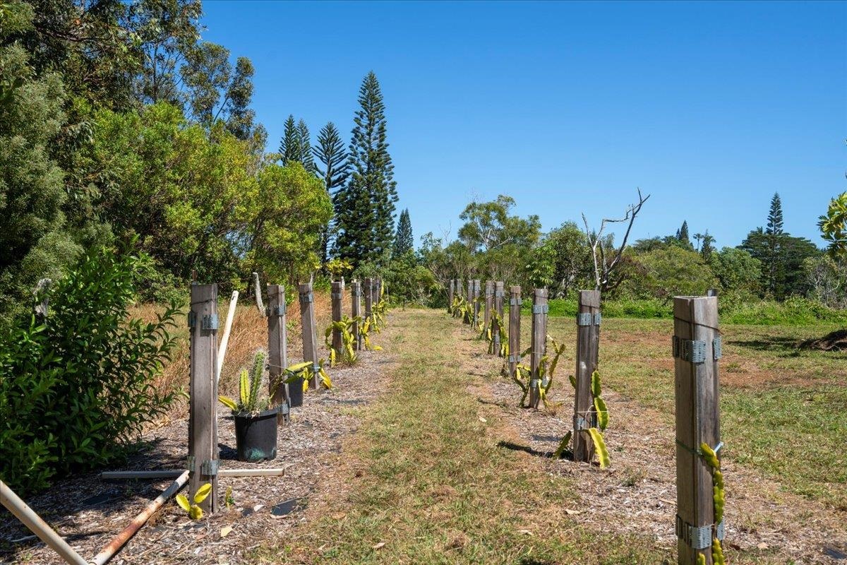 1205  Kuiaha Rd , Haiku home - photo 36 of 46