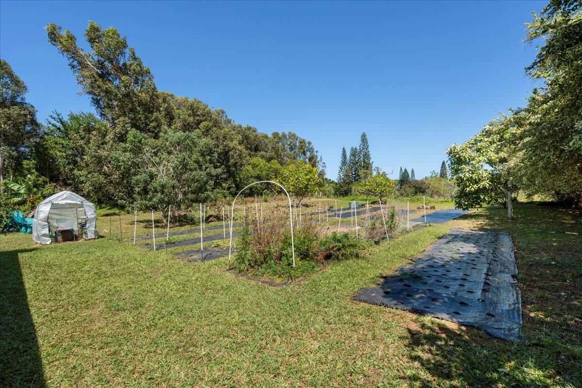1205  Kuiaha Rd , Haiku home - photo 37 of 46
