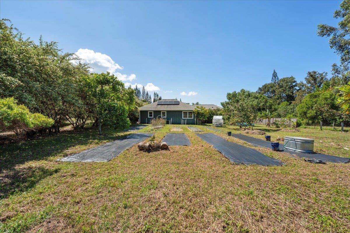 1205  Kuiaha Rd , Haiku home - photo 38 of 46