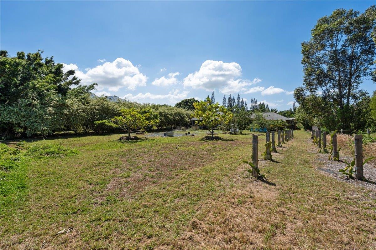 1205  Kuiaha Rd , Haiku home - photo 39 of 46