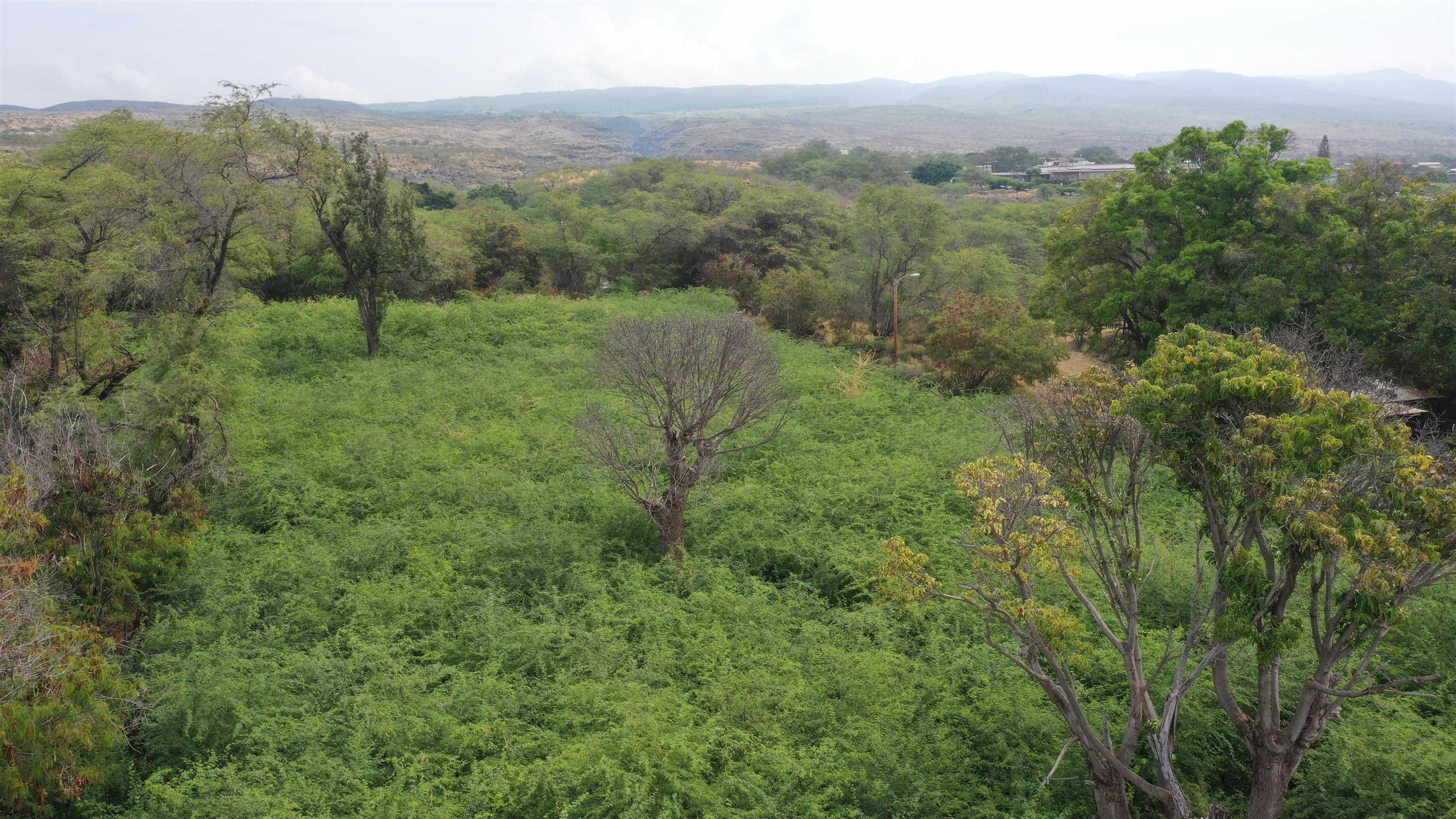 120 and 135 Manako Ln Lots #7 and #8 Kaunakakai, Hi vacant land for sale - photo 2 of 10