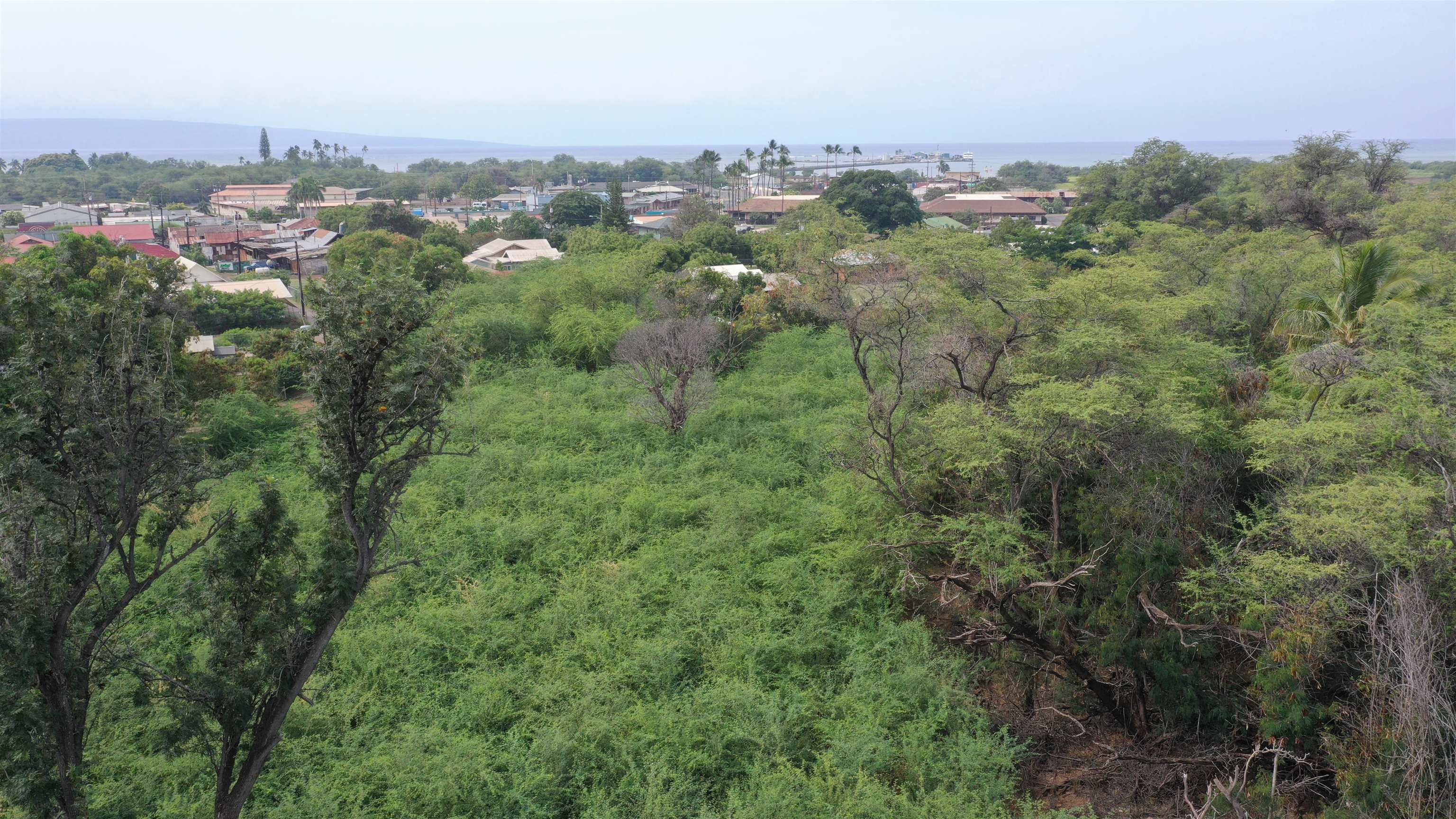 120 and 135 Manako Ln Lots #7 and #8 Kaunakakai, Hi vacant land for sale - photo 6 of 10