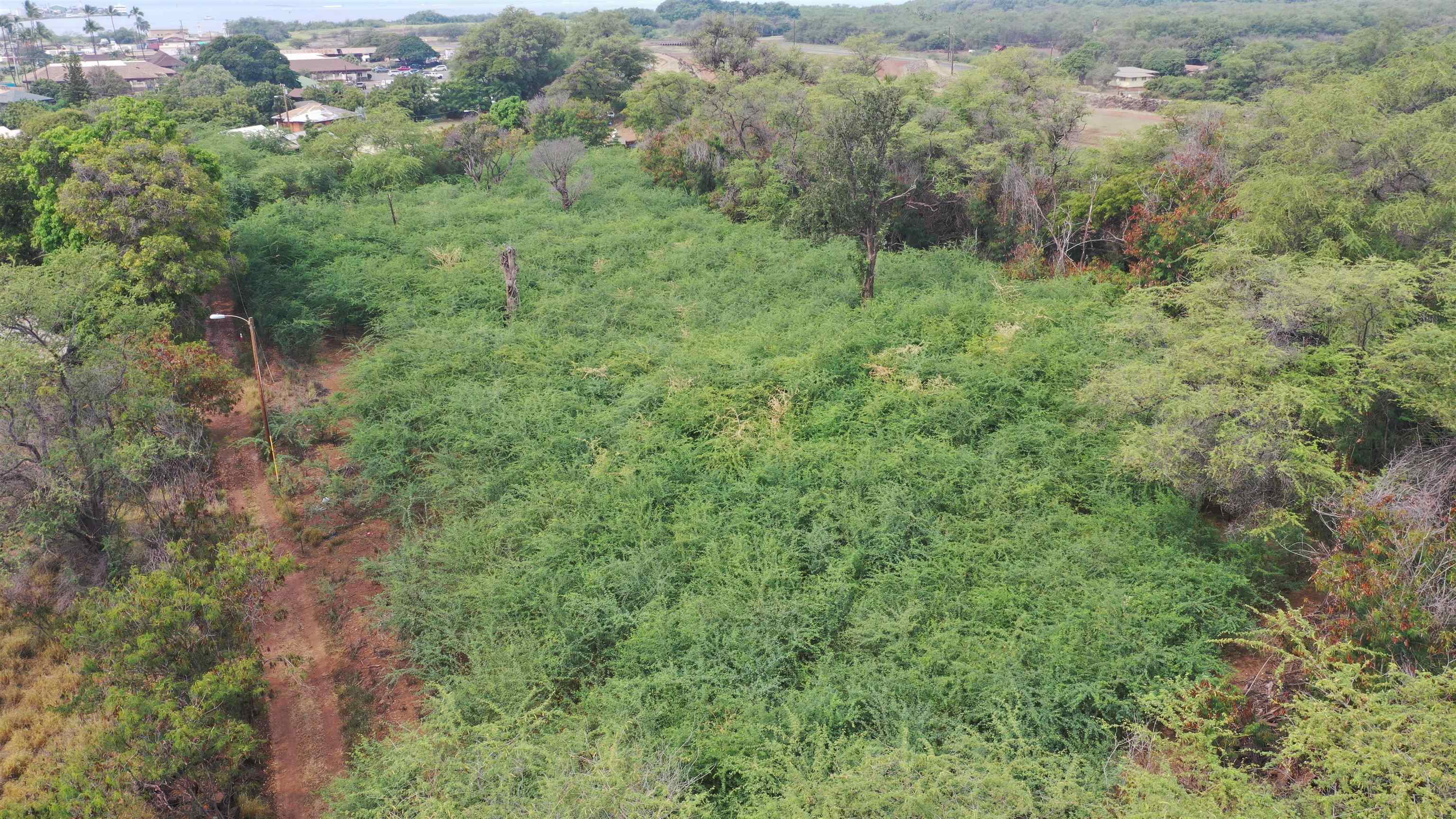 120 and 135 Manako Ln Lots #7 and #8 Kaunakakai, Hi vacant land for sale - photo 9 of 10