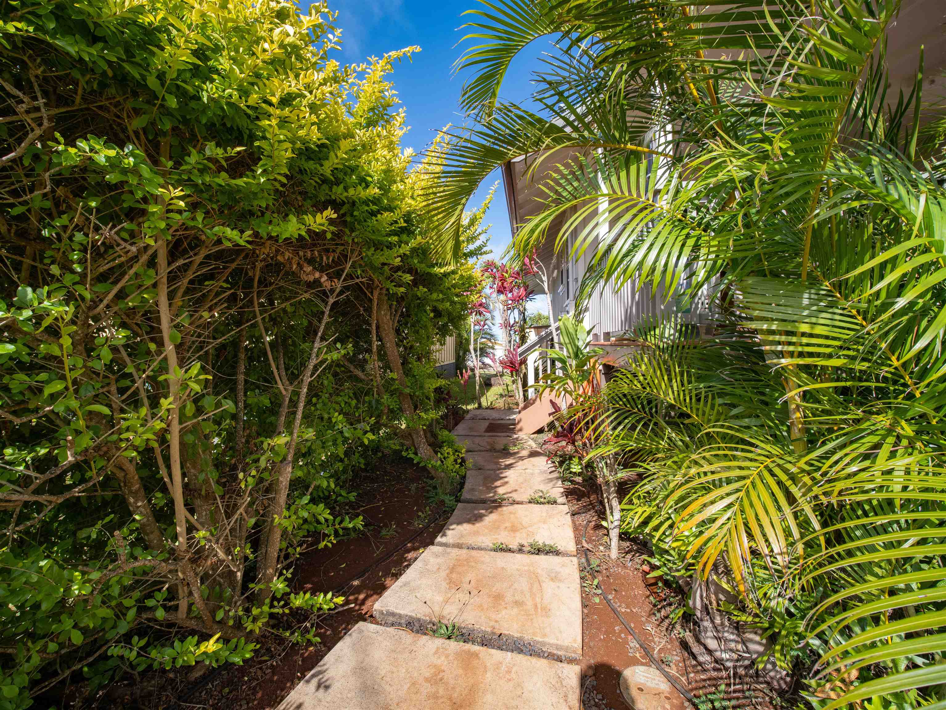 1215  Jasmine Dr , Lanai home - photo 34 of 38
