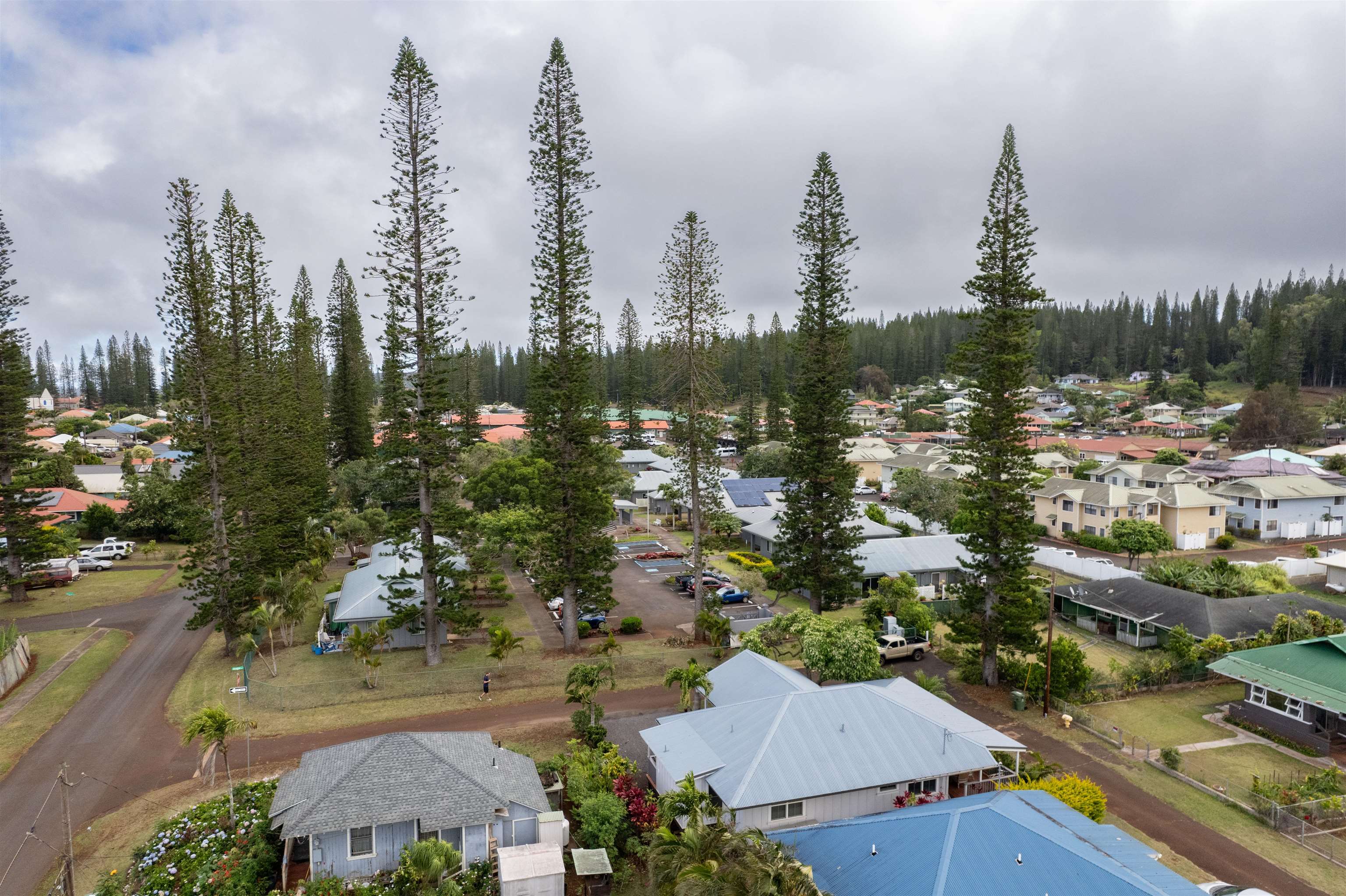 1215  Jasmine Dr , Lanai home - photo 36 of 38