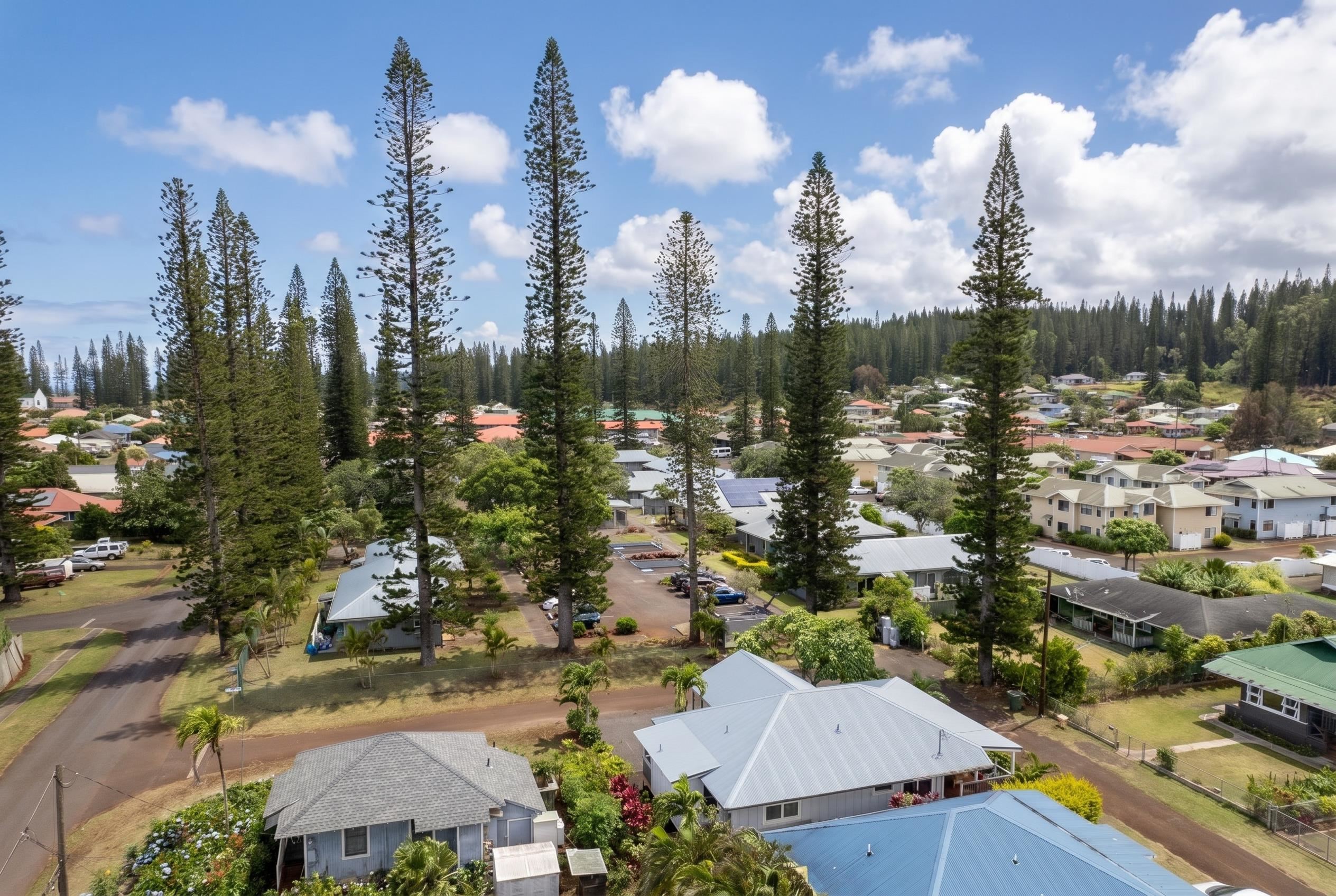 1215  Jasmine Dr , Lanai home - photo 37 of 38