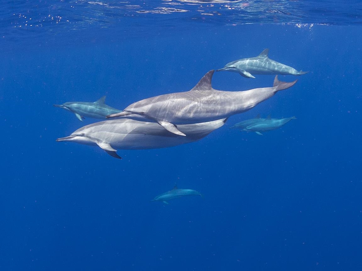 122  Ulua Rd Kawela Plantation, Molokai home - photo 18 of 50