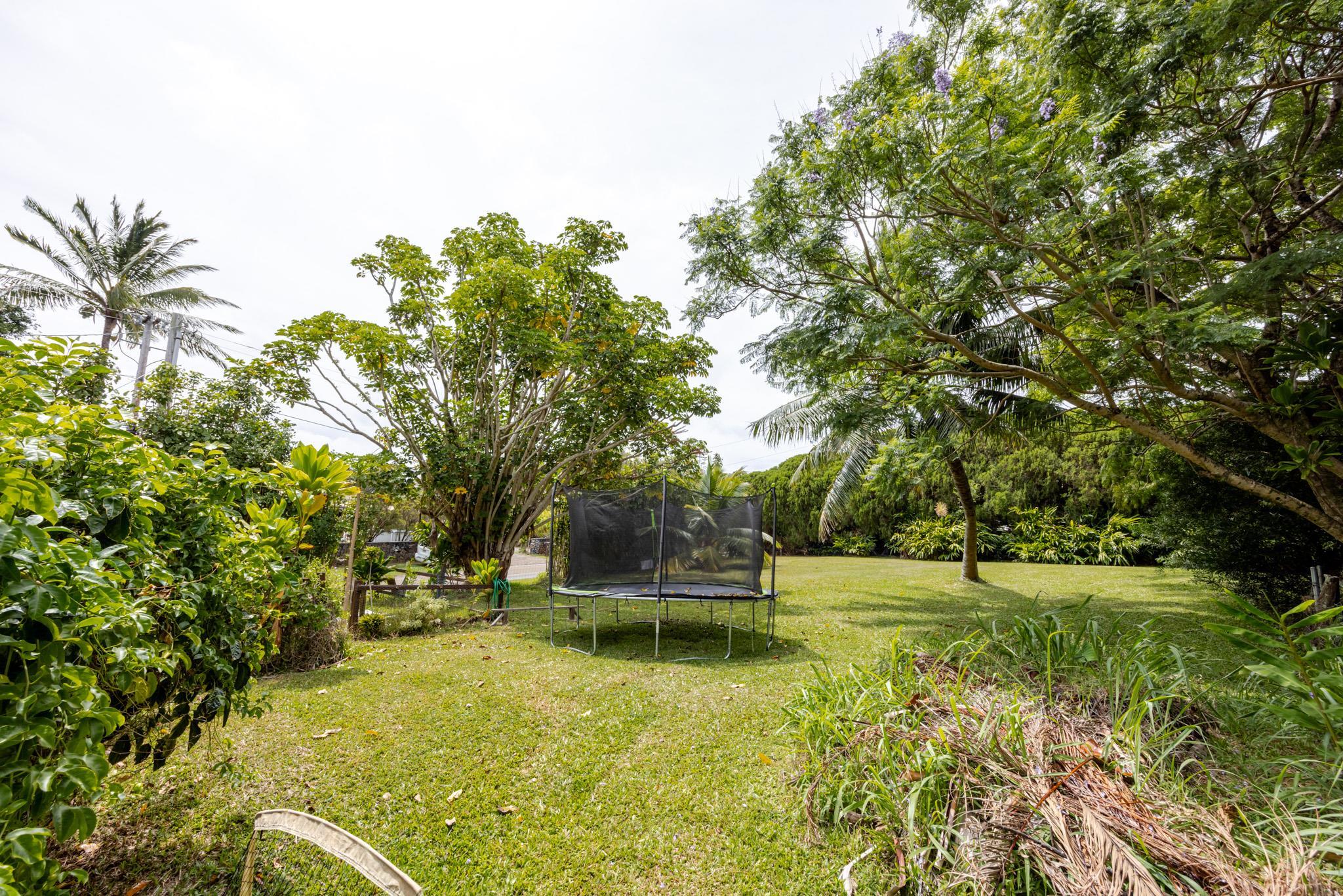 1220  Kuiaha Rd , Haiku home - photo 36 of 48