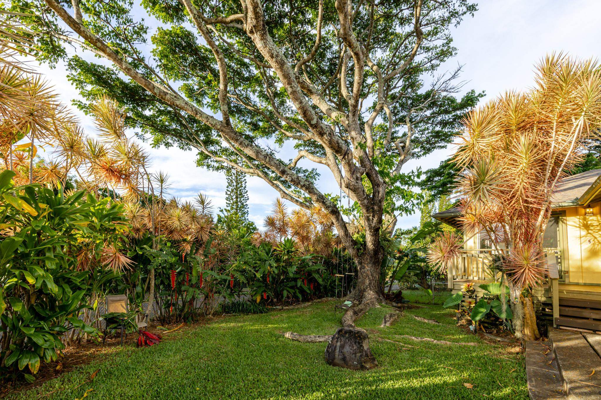 1220  Kuiaha Rd , Haiku home - photo 6 of 50