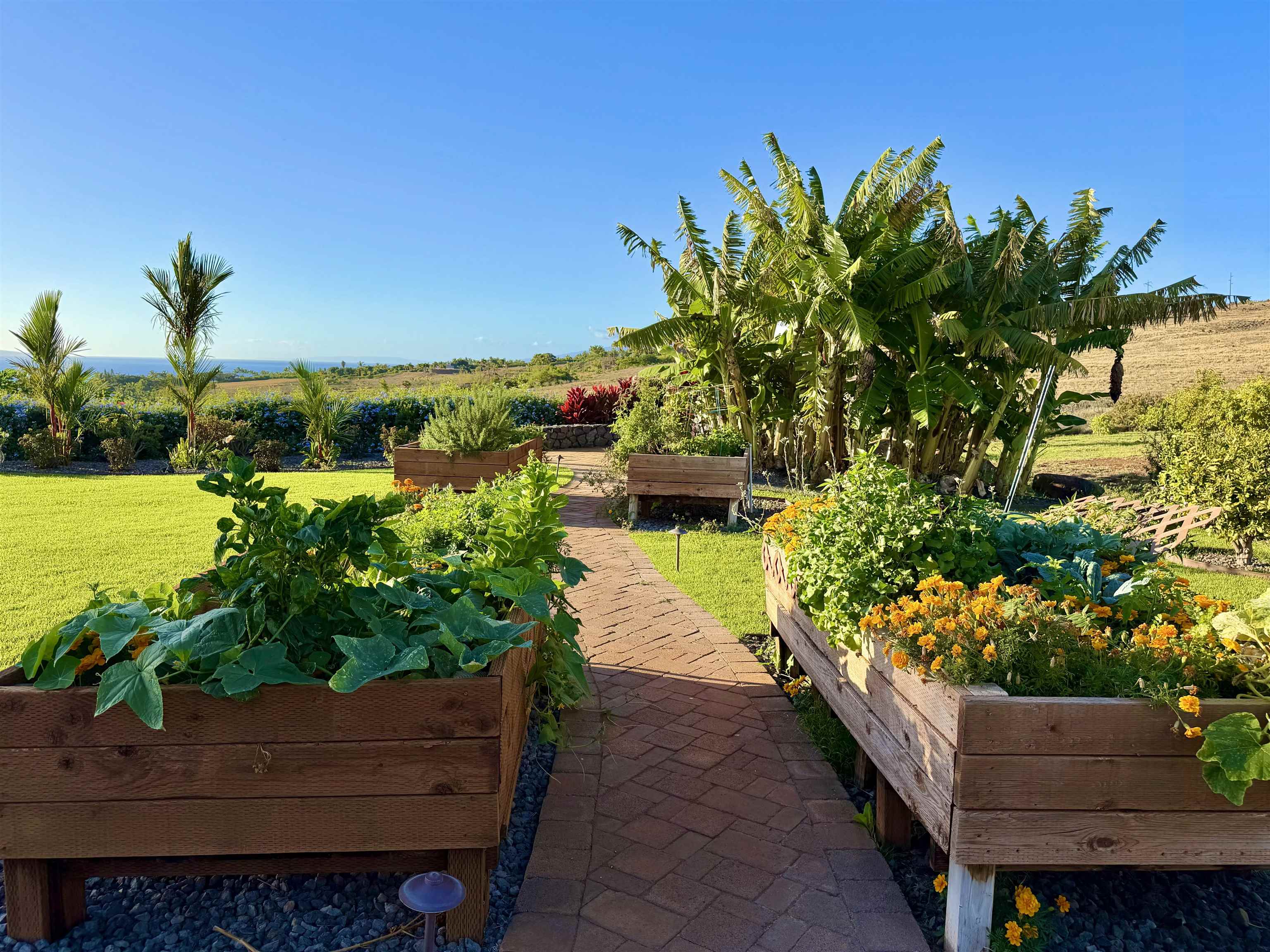 123  Punakea Loop , Lahaina home - photo 44 of 50