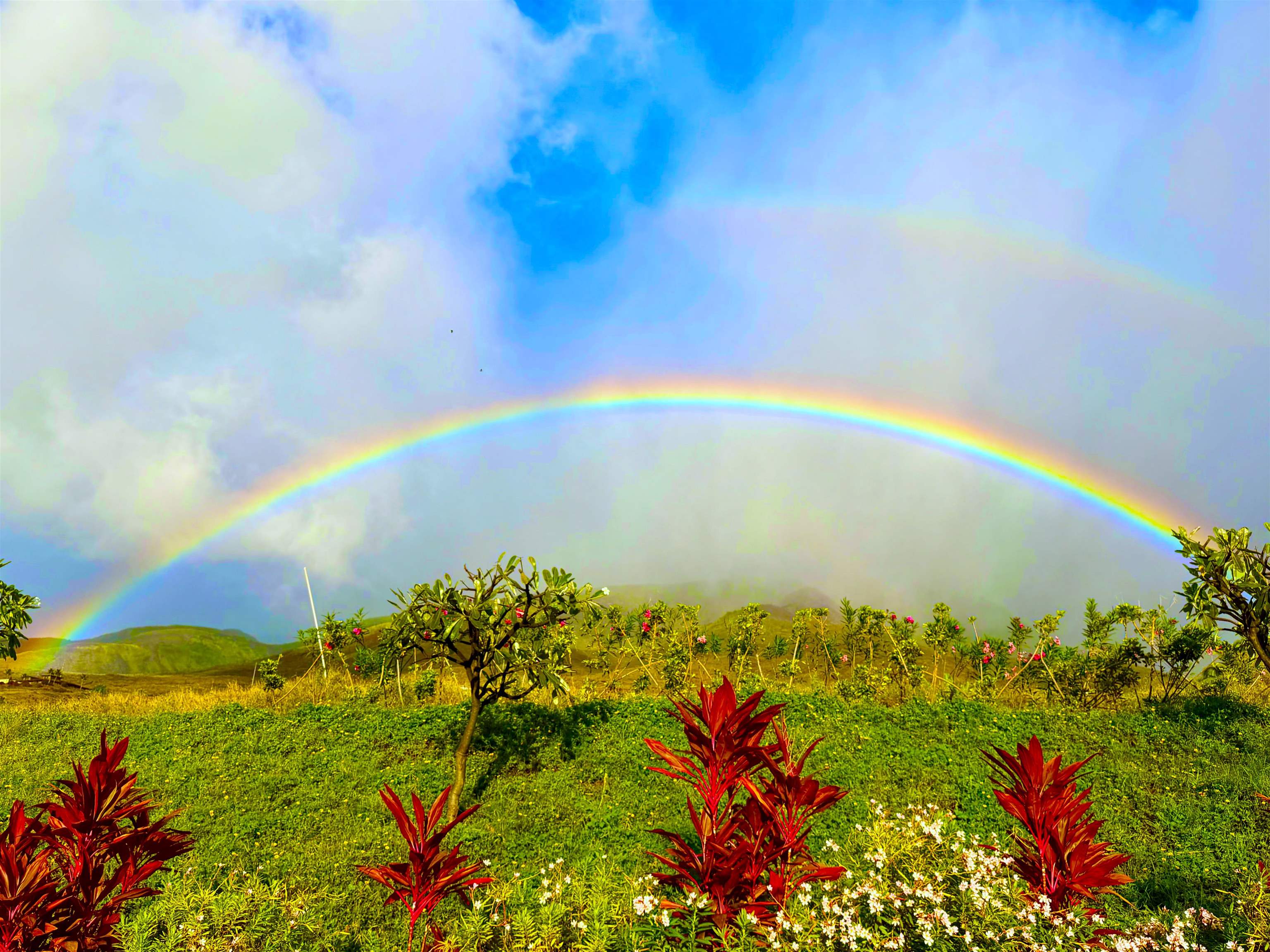 123  Punakea Loop , Lahaina home - photo 45 of 50