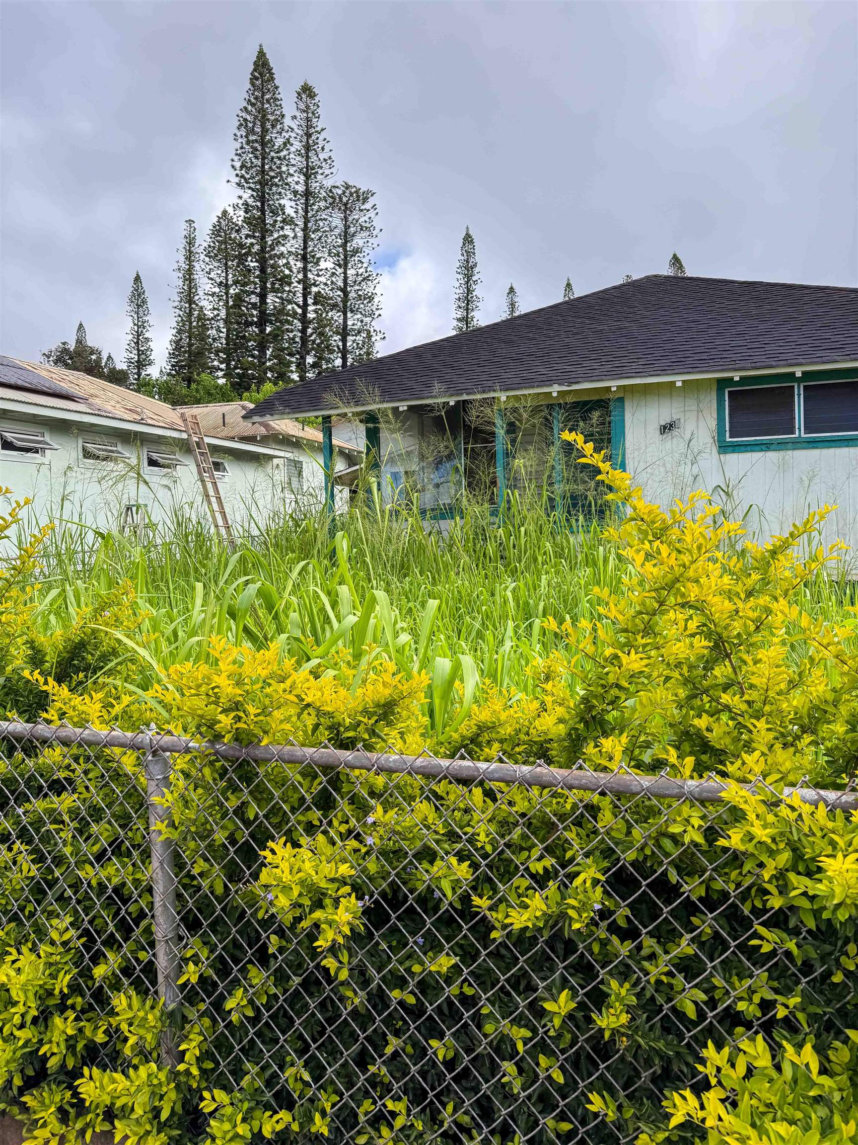 1234  Fraser Ave , Lanai home - photo 2 of 16