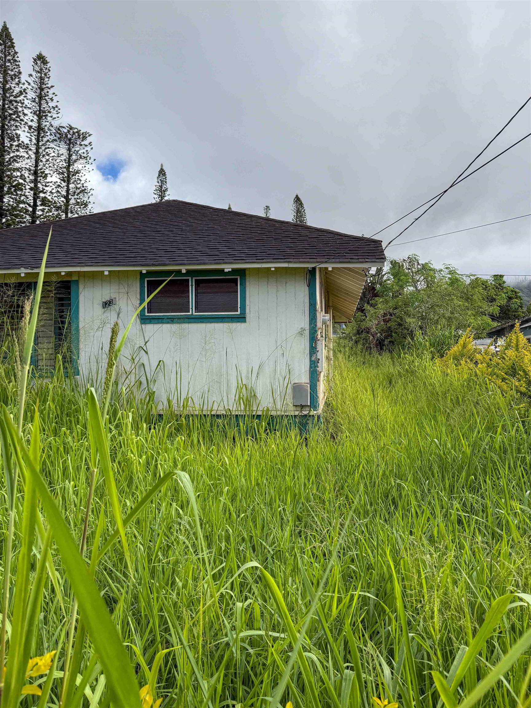 1234  Fraser Ave , Lanai home - photo 3 of 15