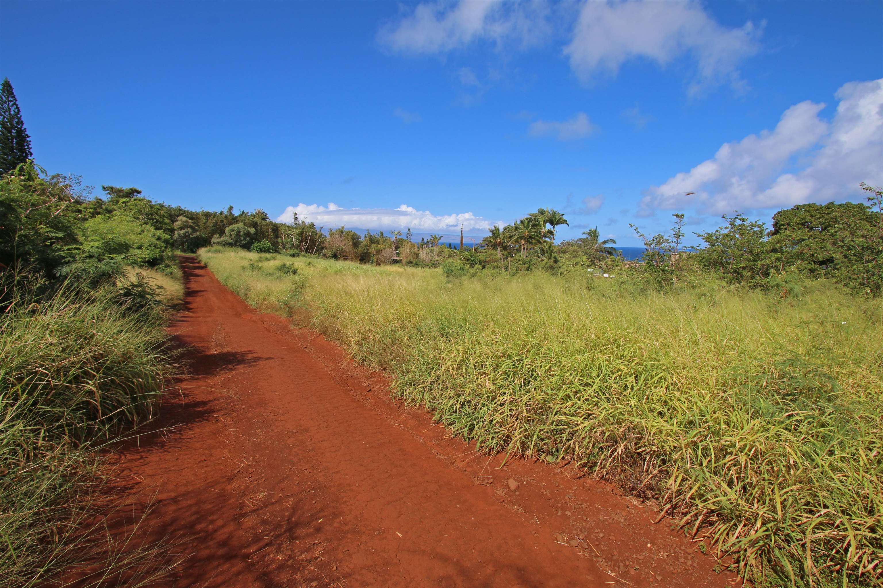 125  Ala Hoku Pl , Napili/Kahana/Honokowai home - photo 3 of 30