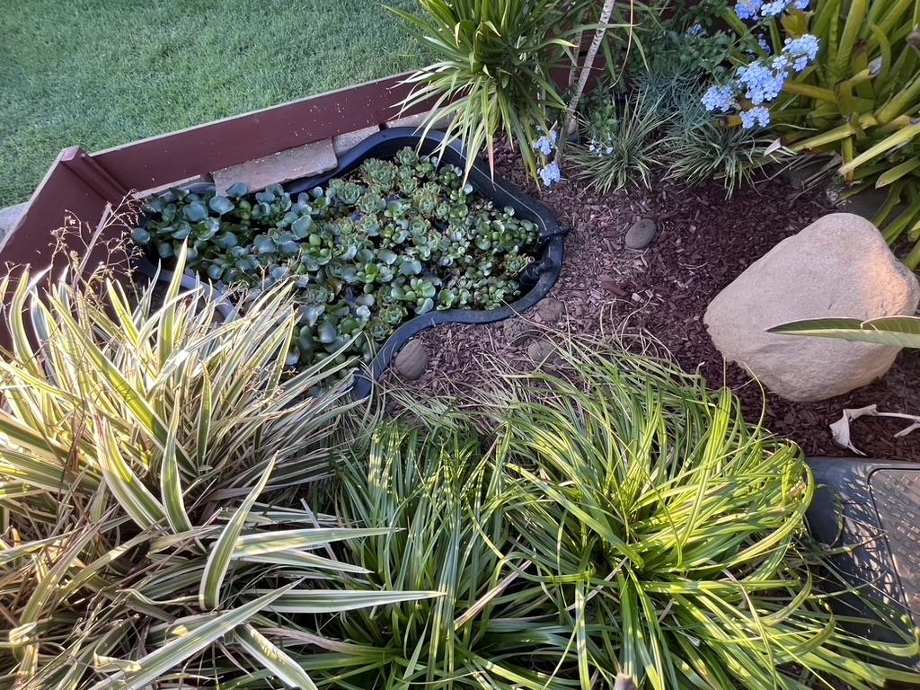 125  Hiwalani Loop , Pukalani home - photo 45 of 50