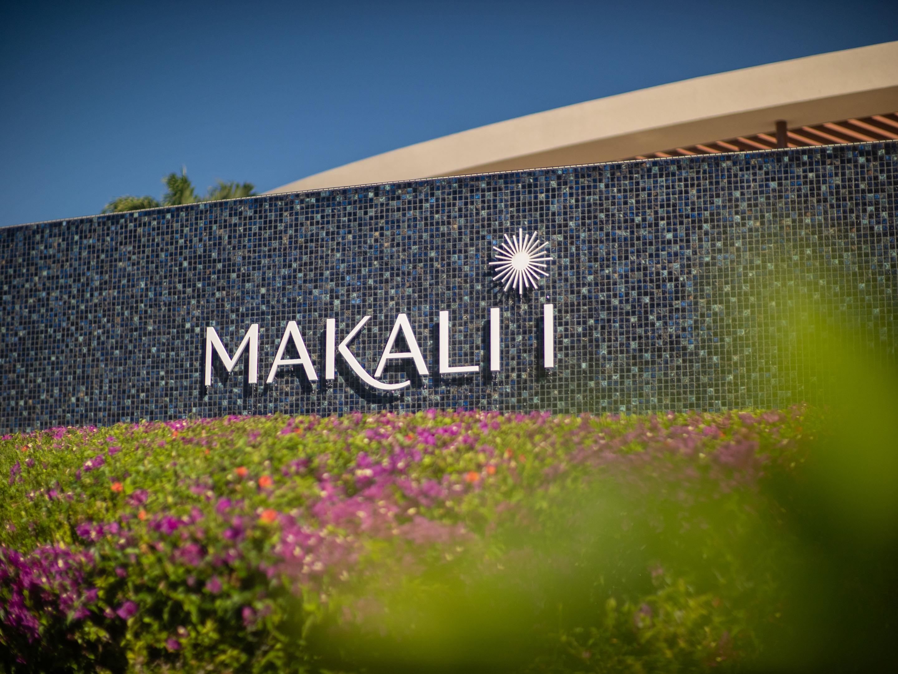Makalii at Wailea condo # 103 (3C), Kihei, Hawaii - photo 42 of 48